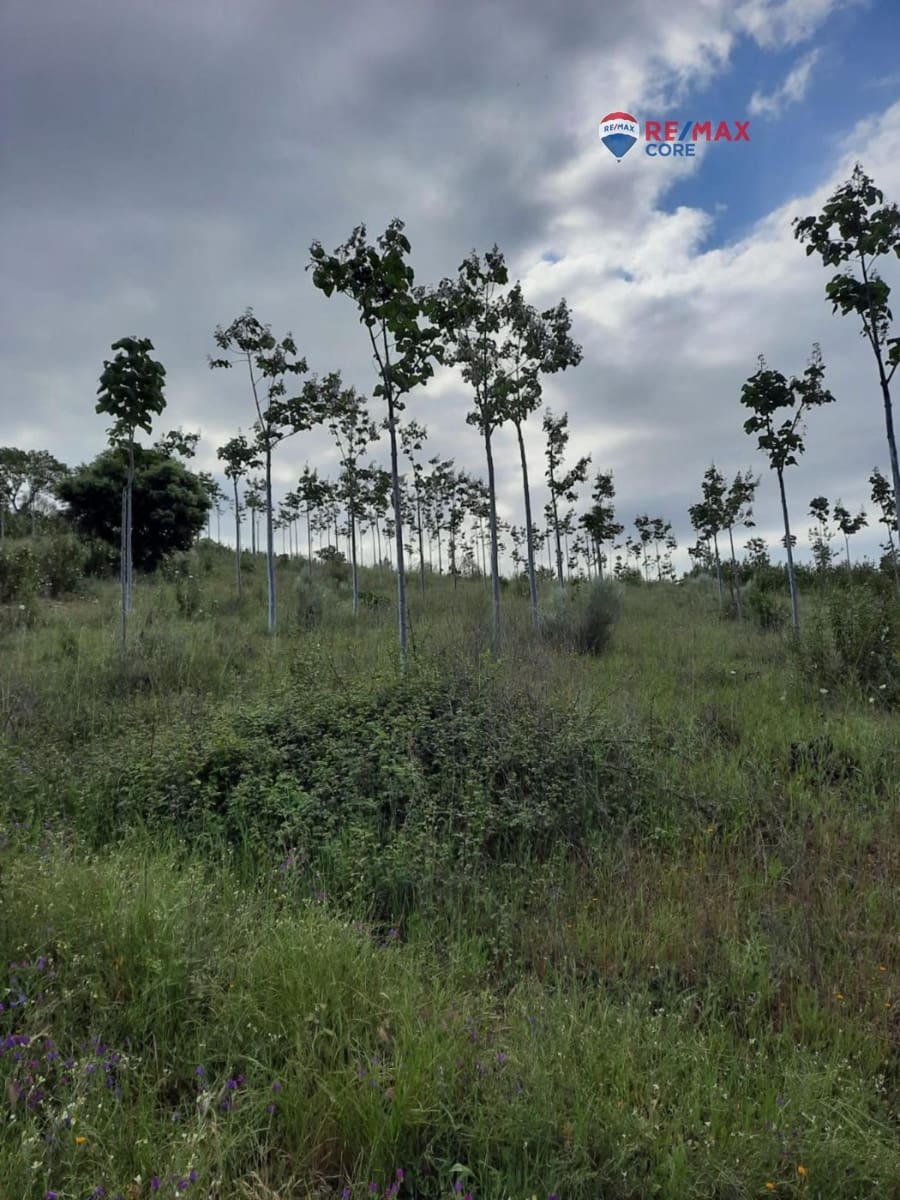 Grunde uden byggetilladelser til salg i Alburquerque - € 245.000 (Ref: 9194684)