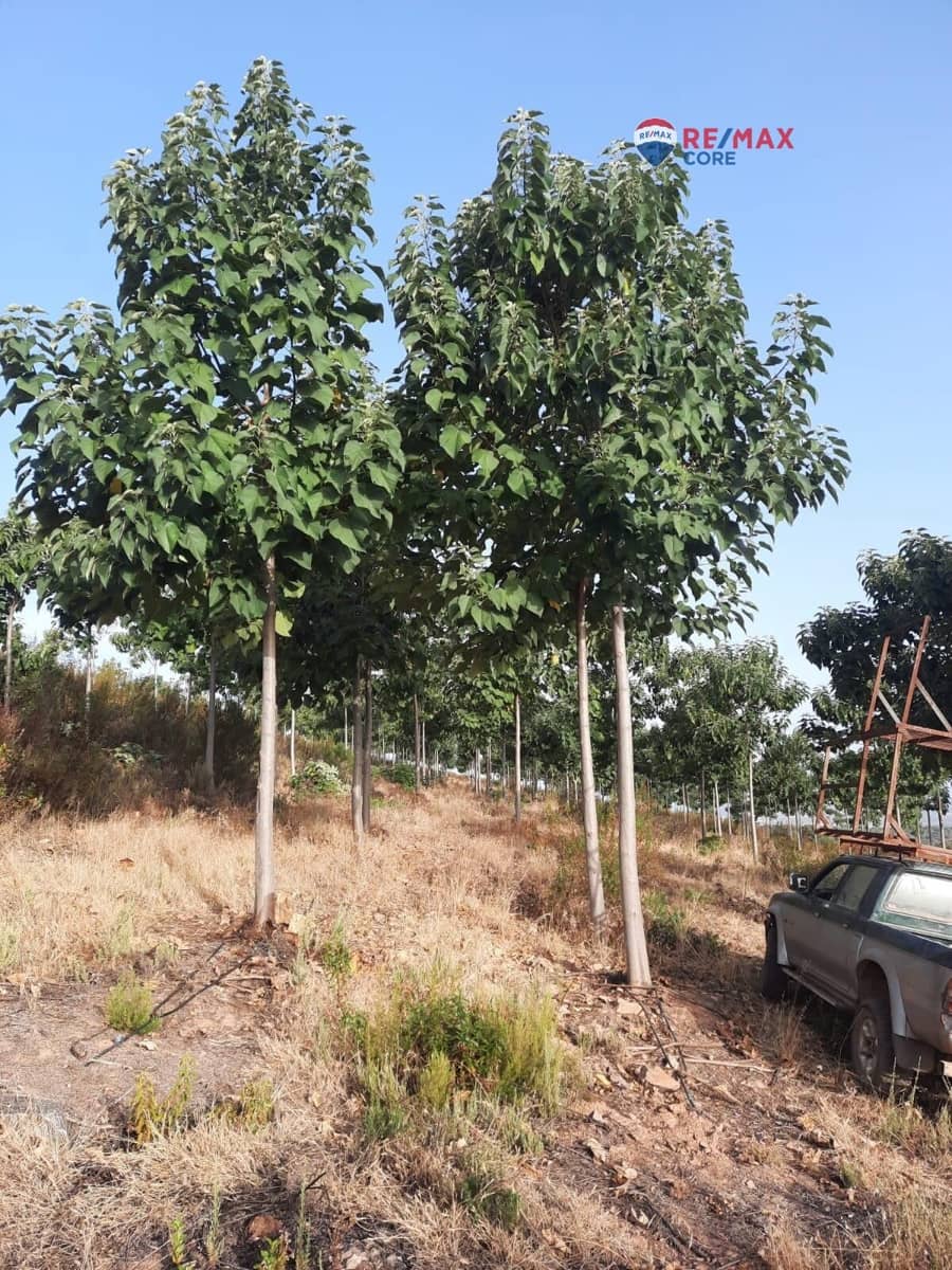 Grunde uden byggetilladelser til salg i Alburquerque - € 245.000 (Ref: 9194684)