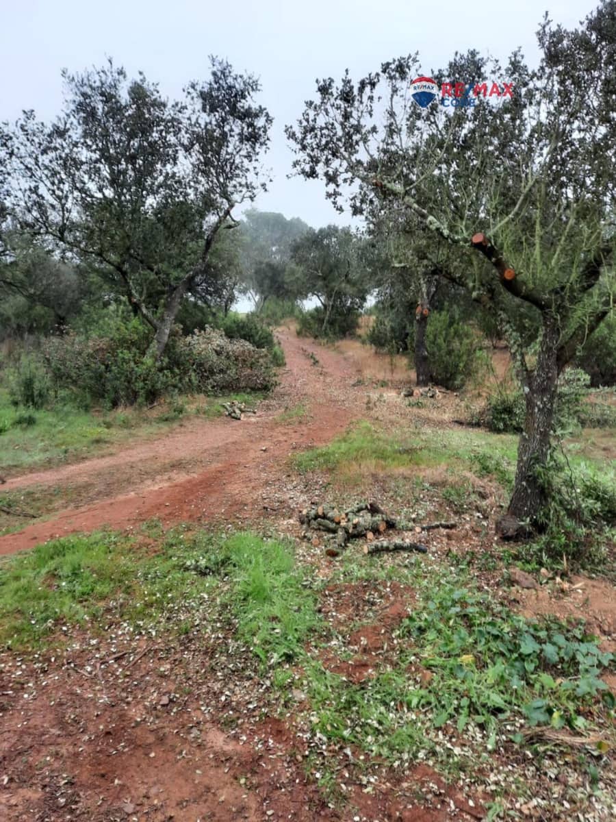 Grunde uden byggetilladelser til salg i Alburquerque - € 245.000 (Ref: 9194684)