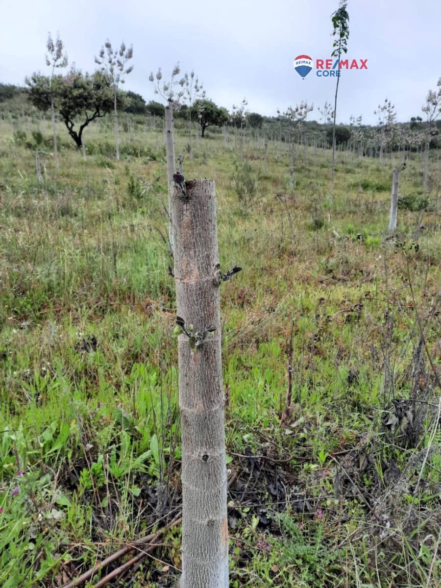 Grunde uden byggetilladelser til salg i Alburquerque - € 245.000 (Ref: 9194684)