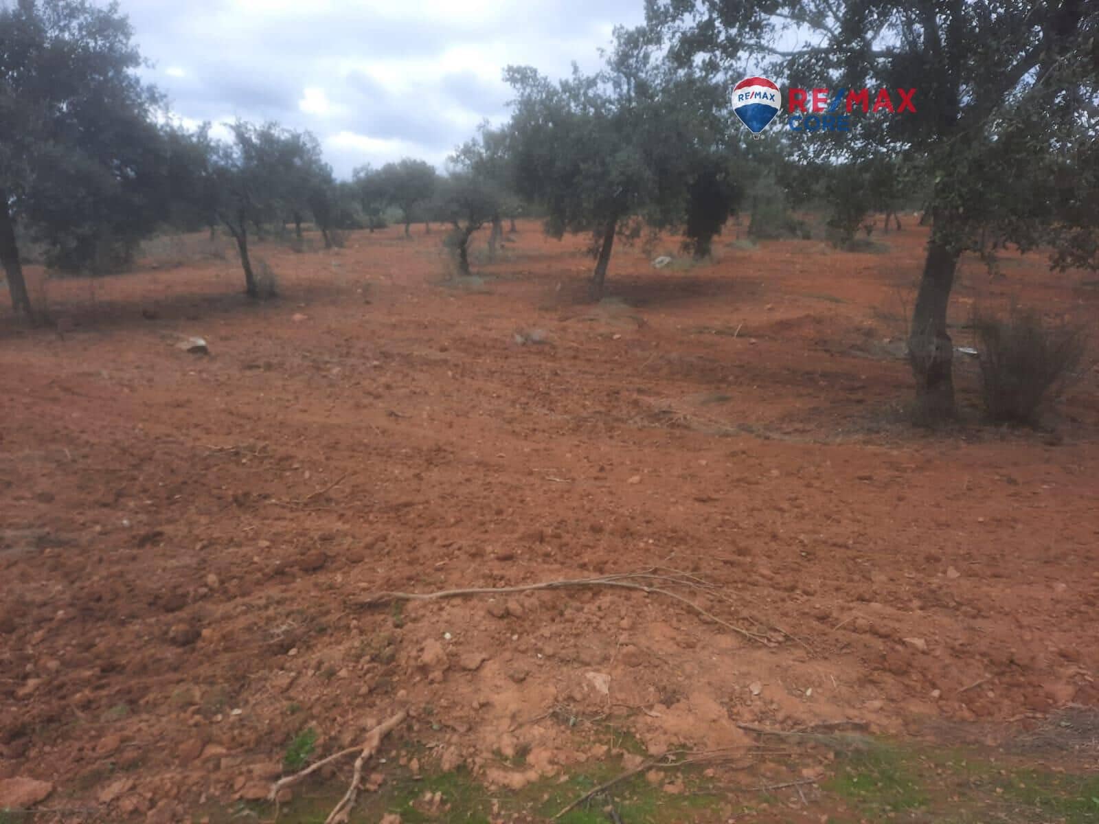 Grunde uden byggetilladelser til salg i Alburquerque - € 245.000 (Ref: 9194684)