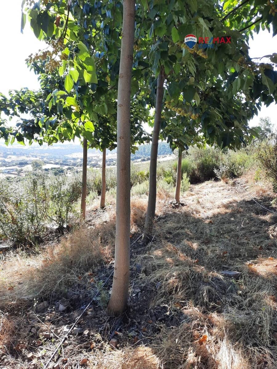 Grunde uden byggetilladelser til salg i Alburquerque - € 245.000 (Ref: 9194684)