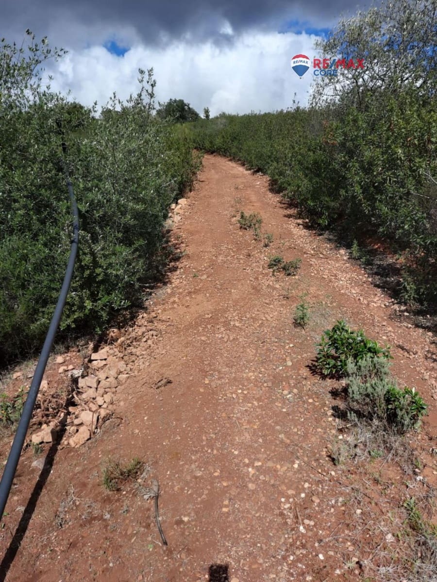 Grunde uden byggetilladelser til salg i Alburquerque - € 245.000 (Ref: 9194684)