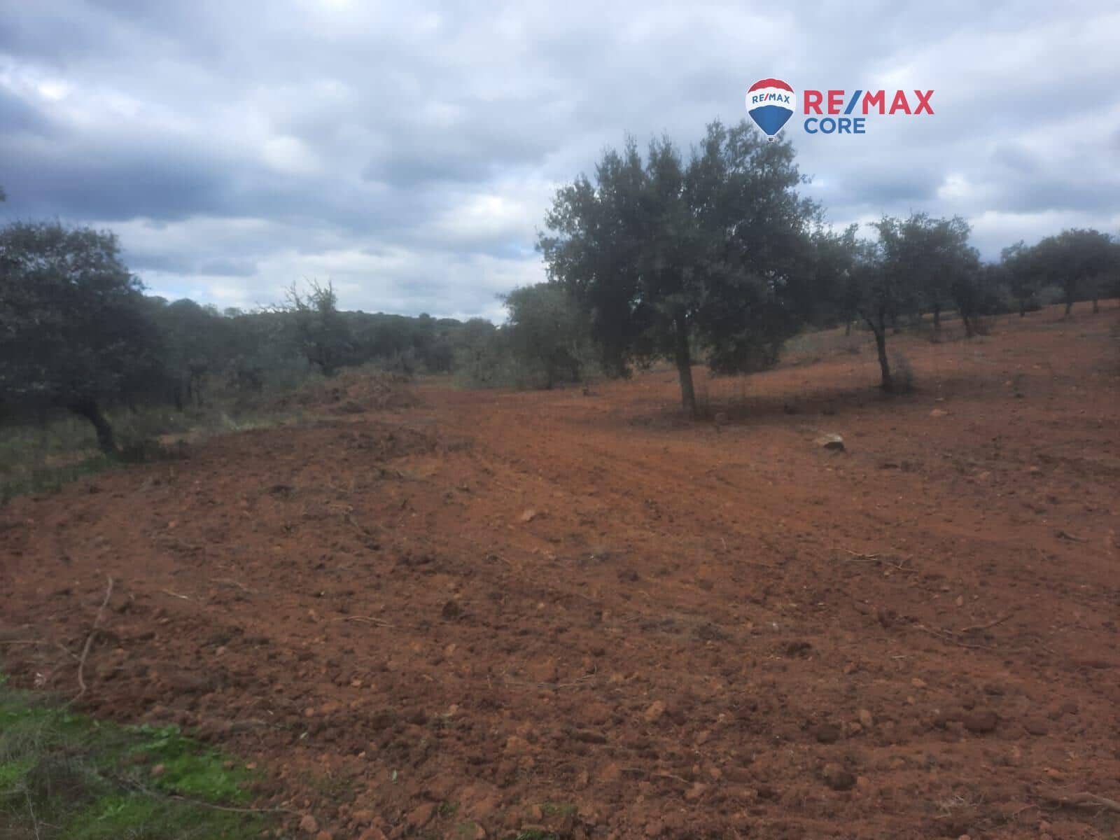 Grunde uden byggetilladelser til salg i Alburquerque - € 245.000 (Ref: 9194684)