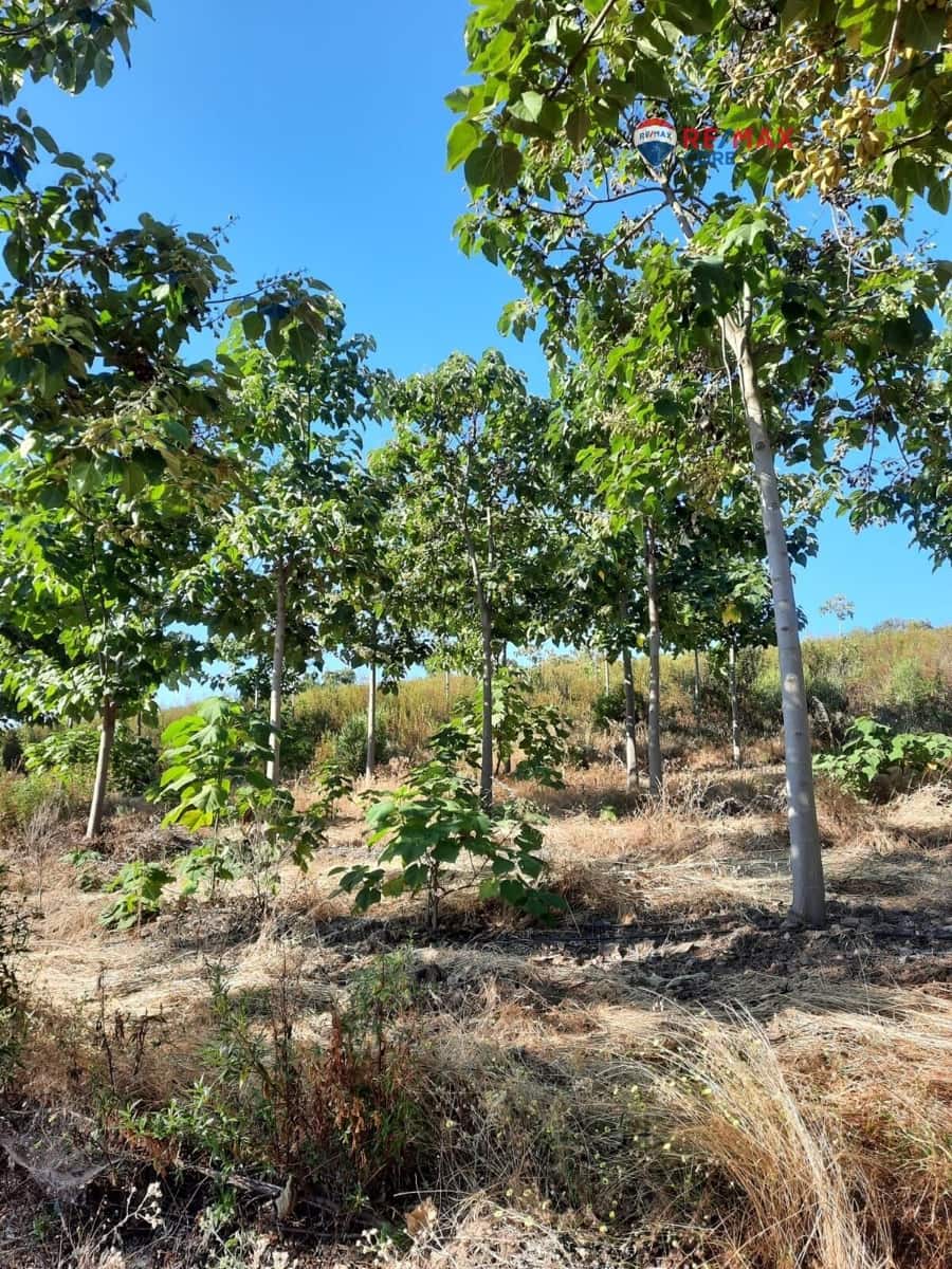 Grunde uden byggetilladelser til salg i Alburquerque - € 245.000 (Ref: 9194684)