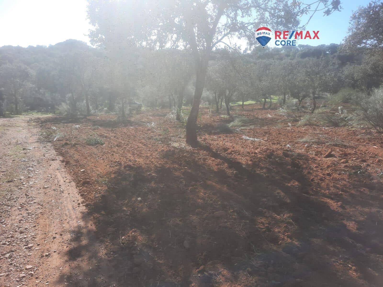 Grunde uden byggetilladelser til salg i Alburquerque - € 245.000 (Ref: 9194684)