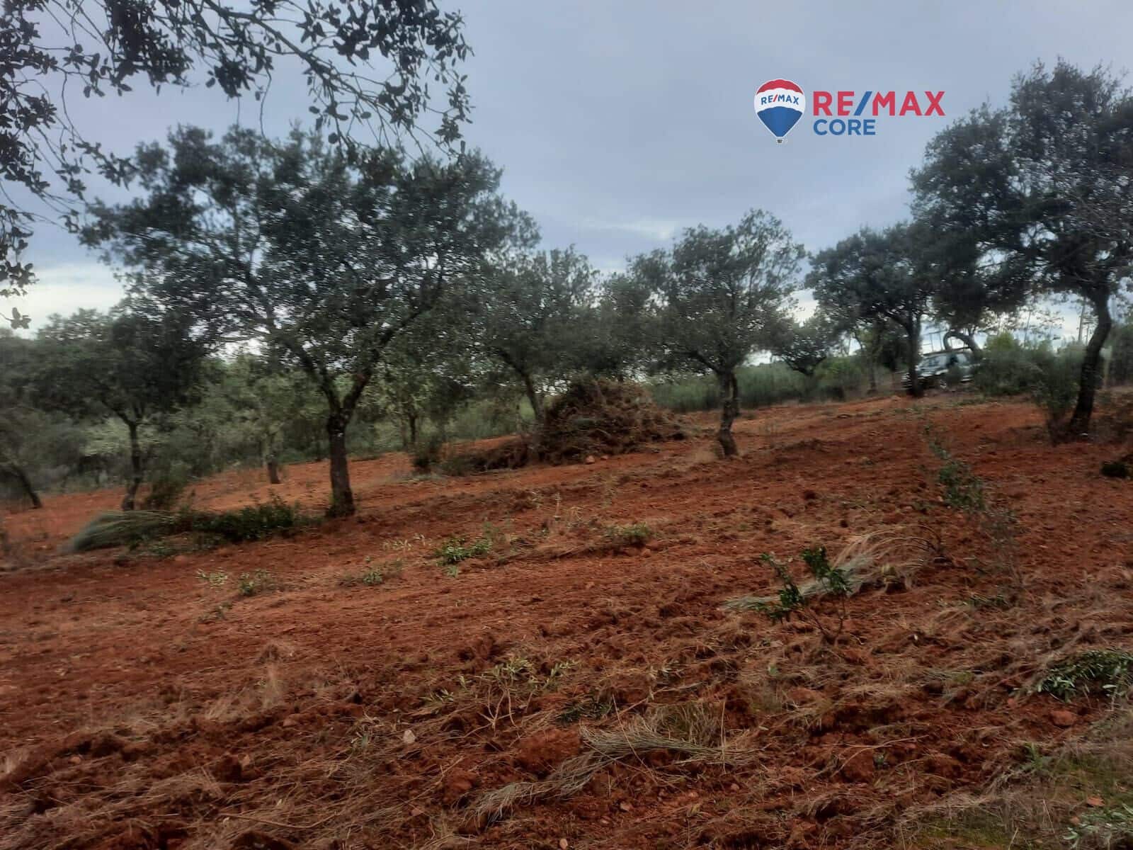 Grunde uden byggetilladelser til salg i Alburquerque - € 245.000 (Ref: 9194684)