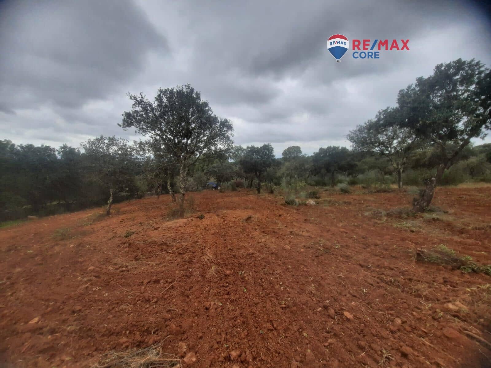 Grunde uden byggetilladelser til salg i Alburquerque - € 245.000 (Ref: 9194684)