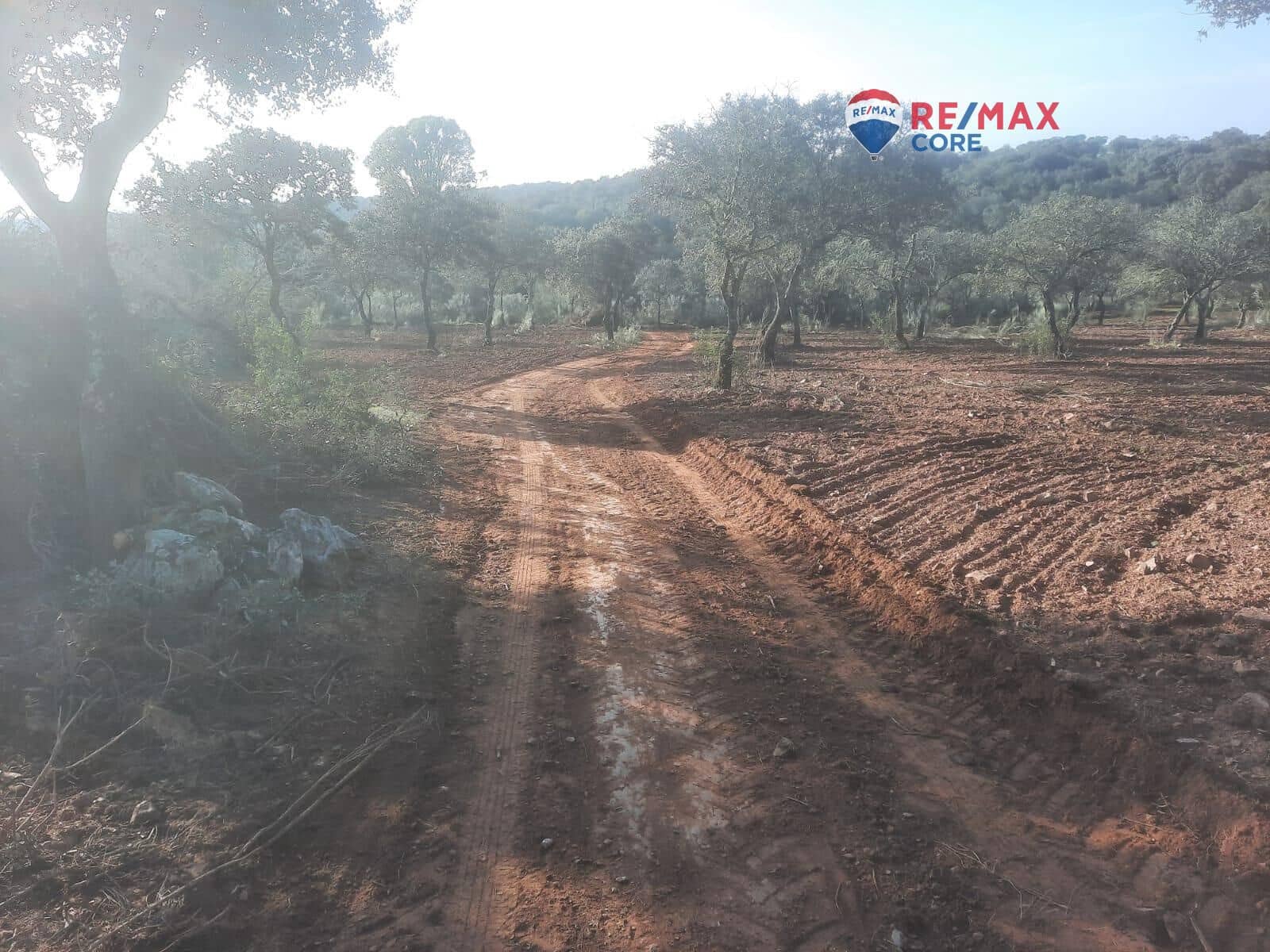 Grunde uden byggetilladelser til salg i Alburquerque - € 245.000 (Ref: 9194684)