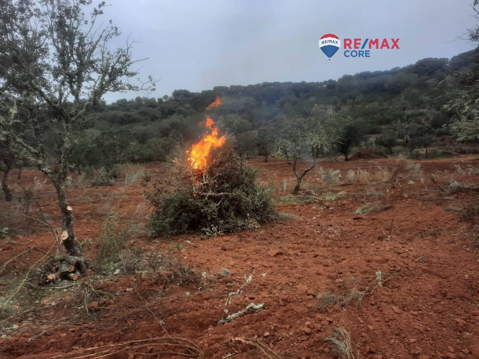 Grunde uden byggetilladelser til salg i Alburquerque - € 245.000 (Ref: 9194684)