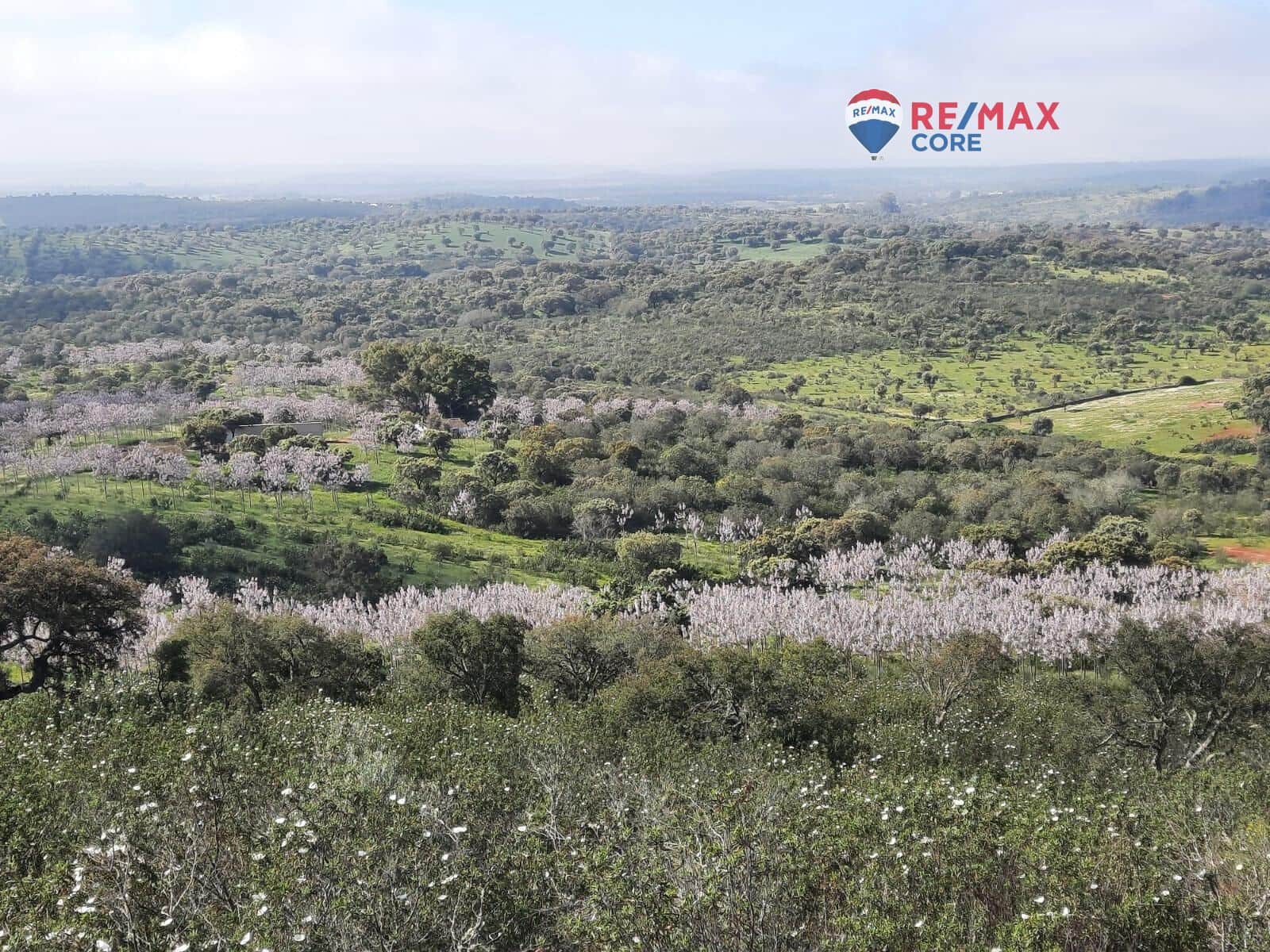 Grunde uden byggetilladelser til salg i Alburquerque - € 245.000 (Ref: 9194684)