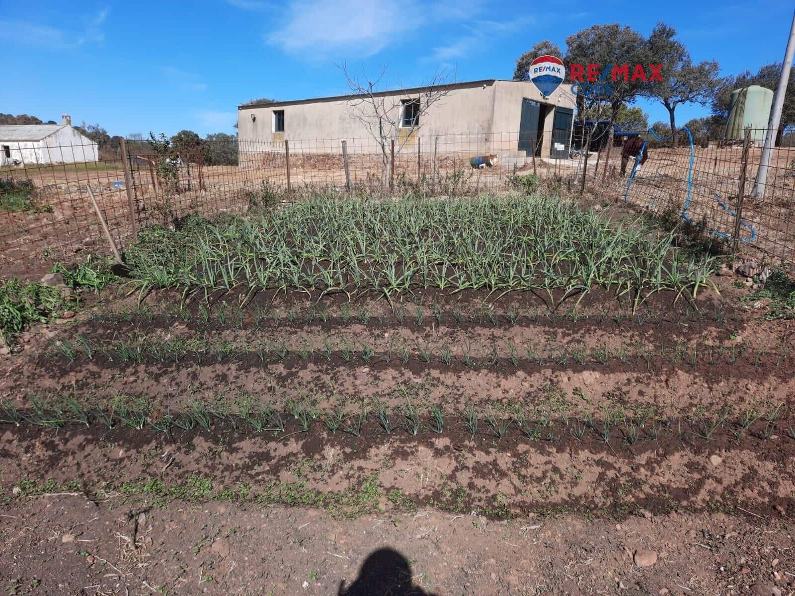 Grunde uden byggetilladelser til salg i Alburquerque - € 245.000 (Ref: 9194684)