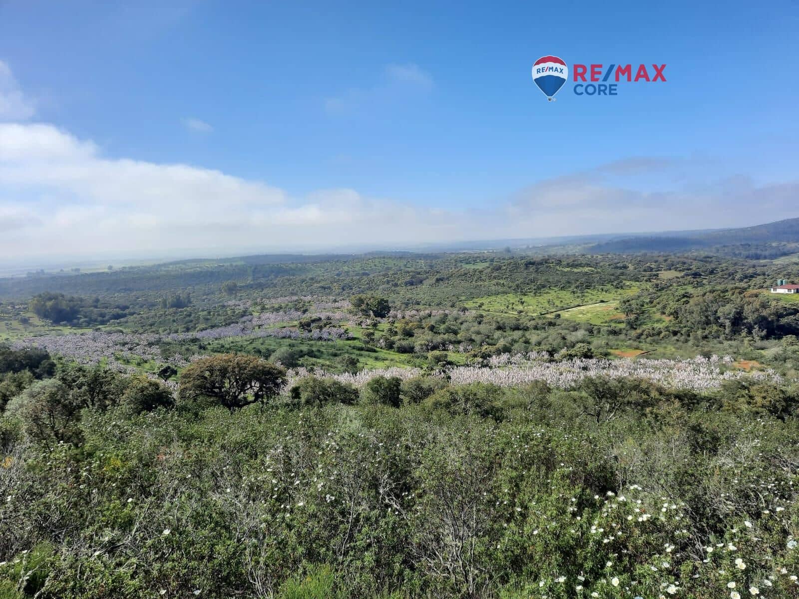 Grunde uden byggetilladelser til salg i Alburquerque - € 245.000 (Ref: 9194684)