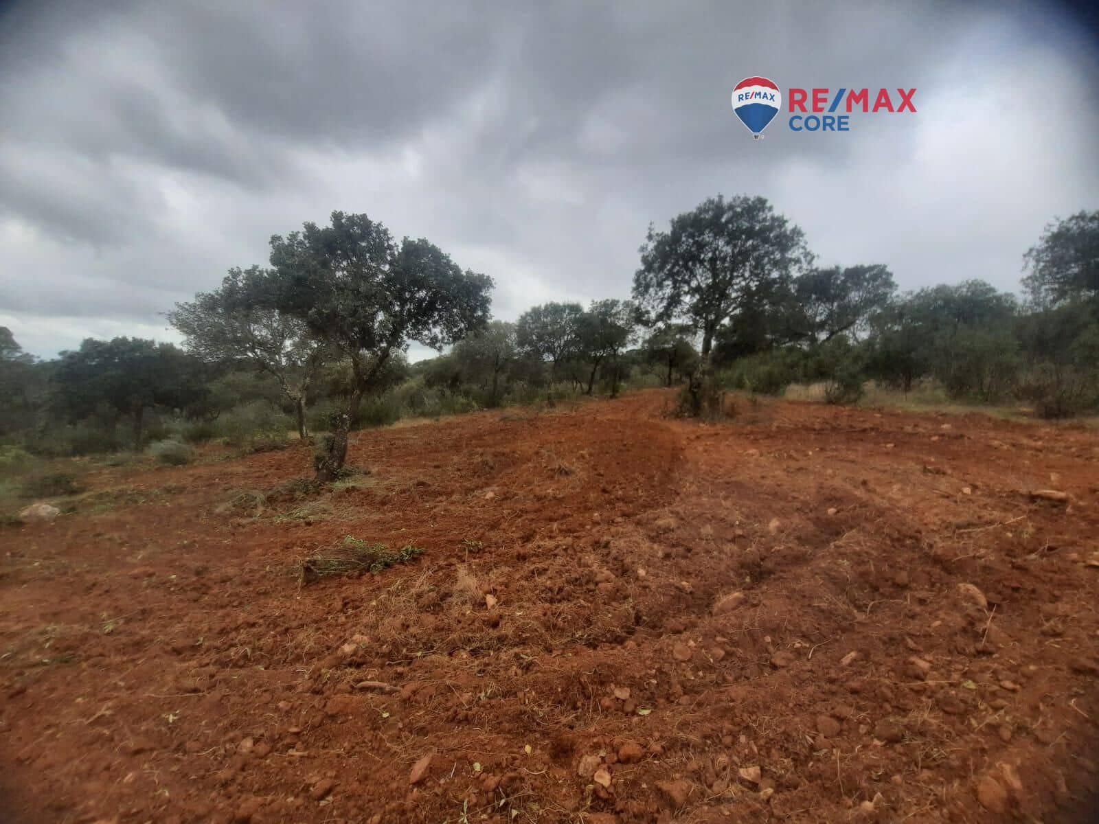 Grunde uden byggetilladelser til salg i Alburquerque - € 245.000 (Ref: 9194684)