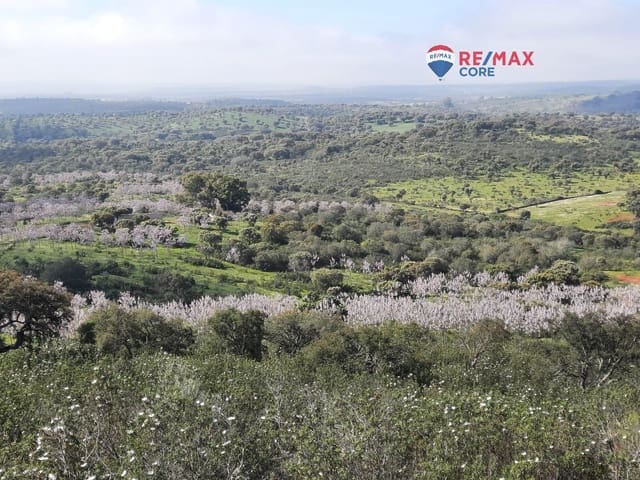 Undeveloped Land for sale in Alburquerque - € 265,000 (Ref: 9194684)