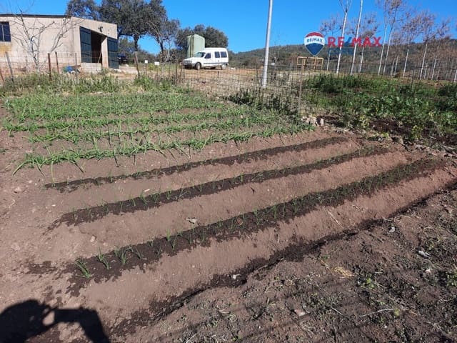 Undeveloped Land for sale in Alburquerque - € 265,000 (Ref: 9194684)