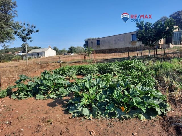 Undeveloped Land for sale in Alburquerque - € 265,000 (Ref: 9194684)