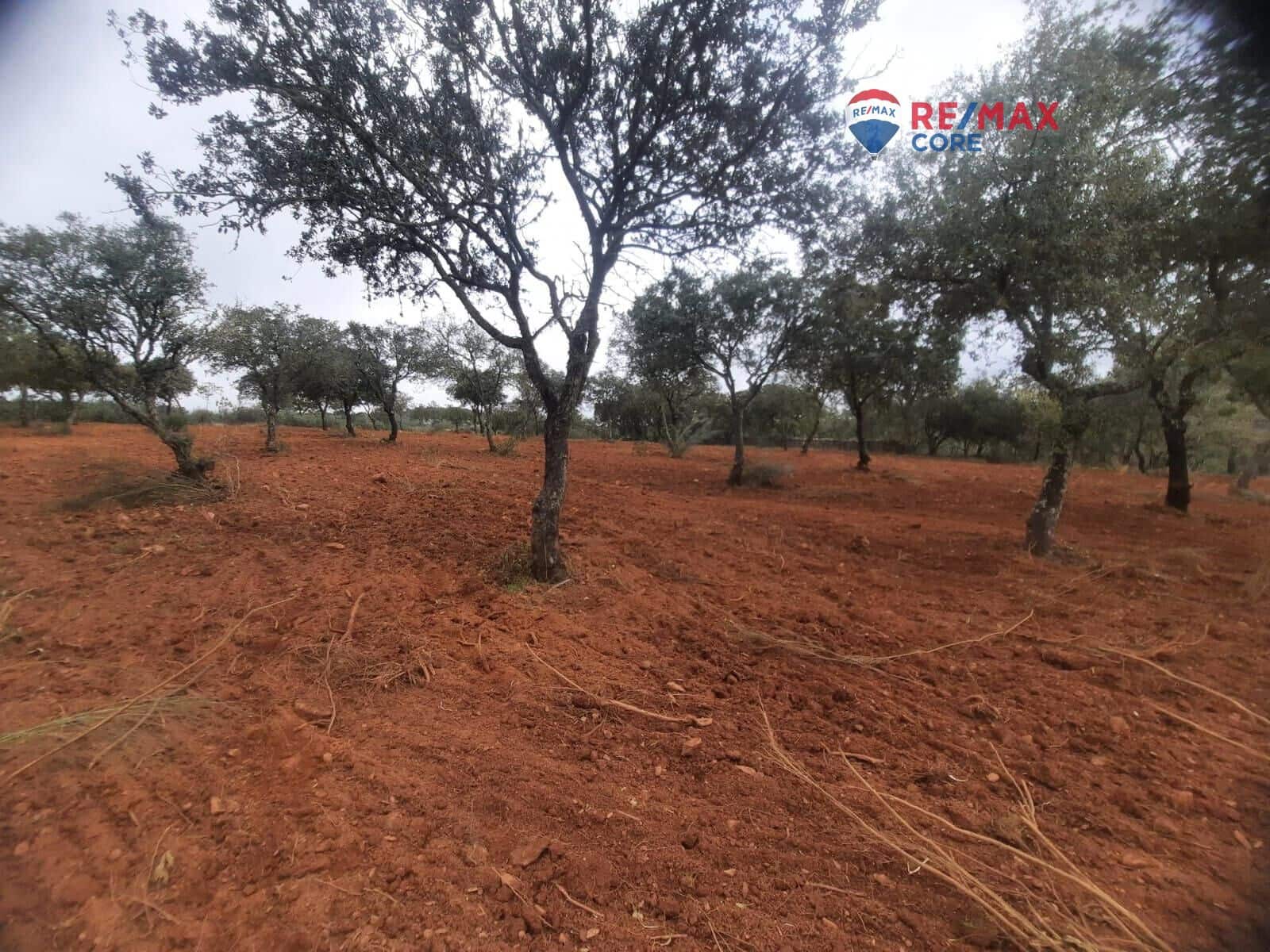 Grunde uden byggetilladelser til salg i Alburquerque - € 245.000 (Ref: 9194684)