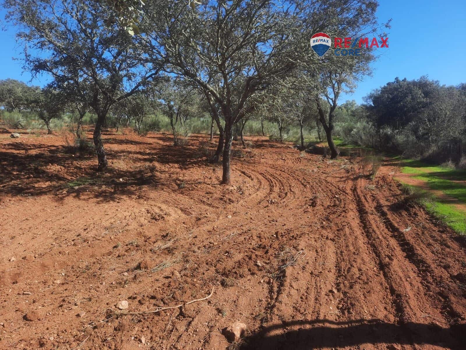 Grunde uden byggetilladelser til salg i Alburquerque - € 245.000 (Ref: 9194684)