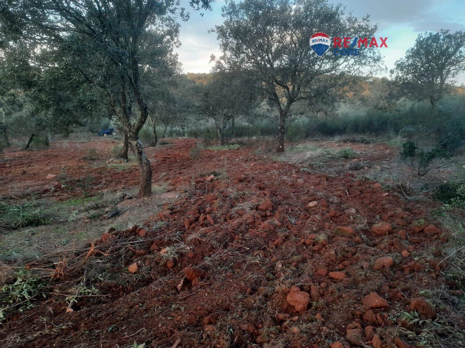 Grunde uden byggetilladelser til salg i Alburquerque - € 245.000 (Ref: 9194684)