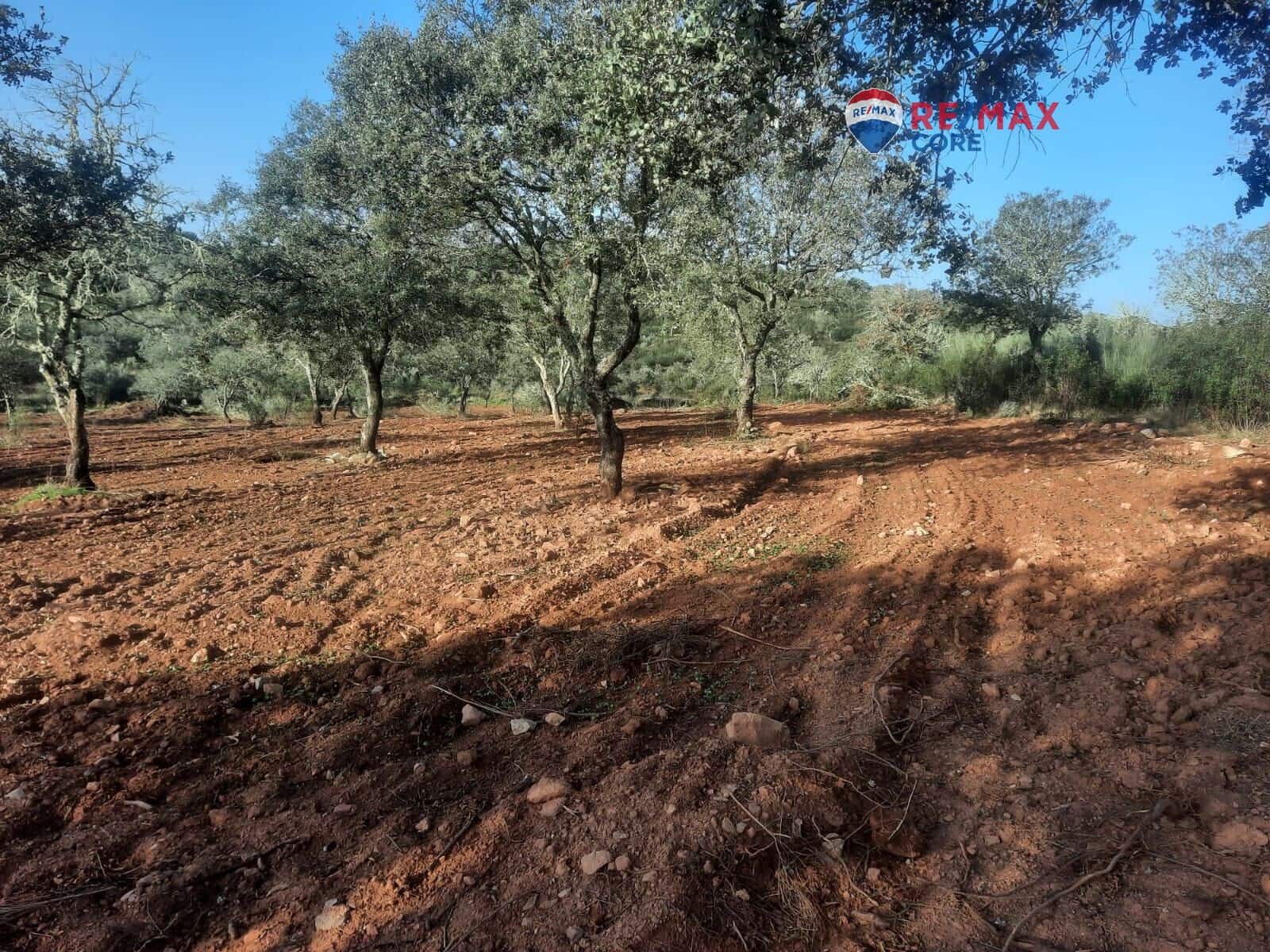 Grunde uden byggetilladelser til salg i Alburquerque - € 245.000 (Ref: 9194684)