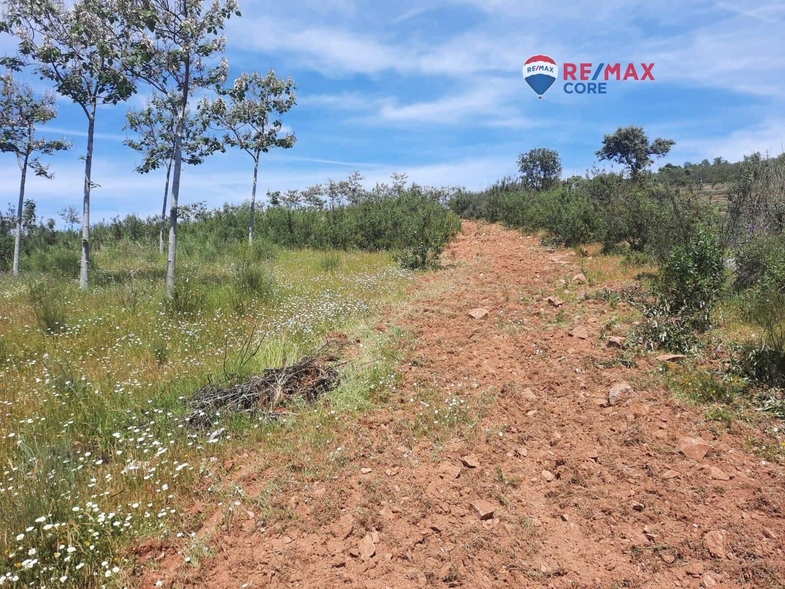 Grunde uden byggetilladelser til salg i Alburquerque - € 245.000 (Ref: 9194684)