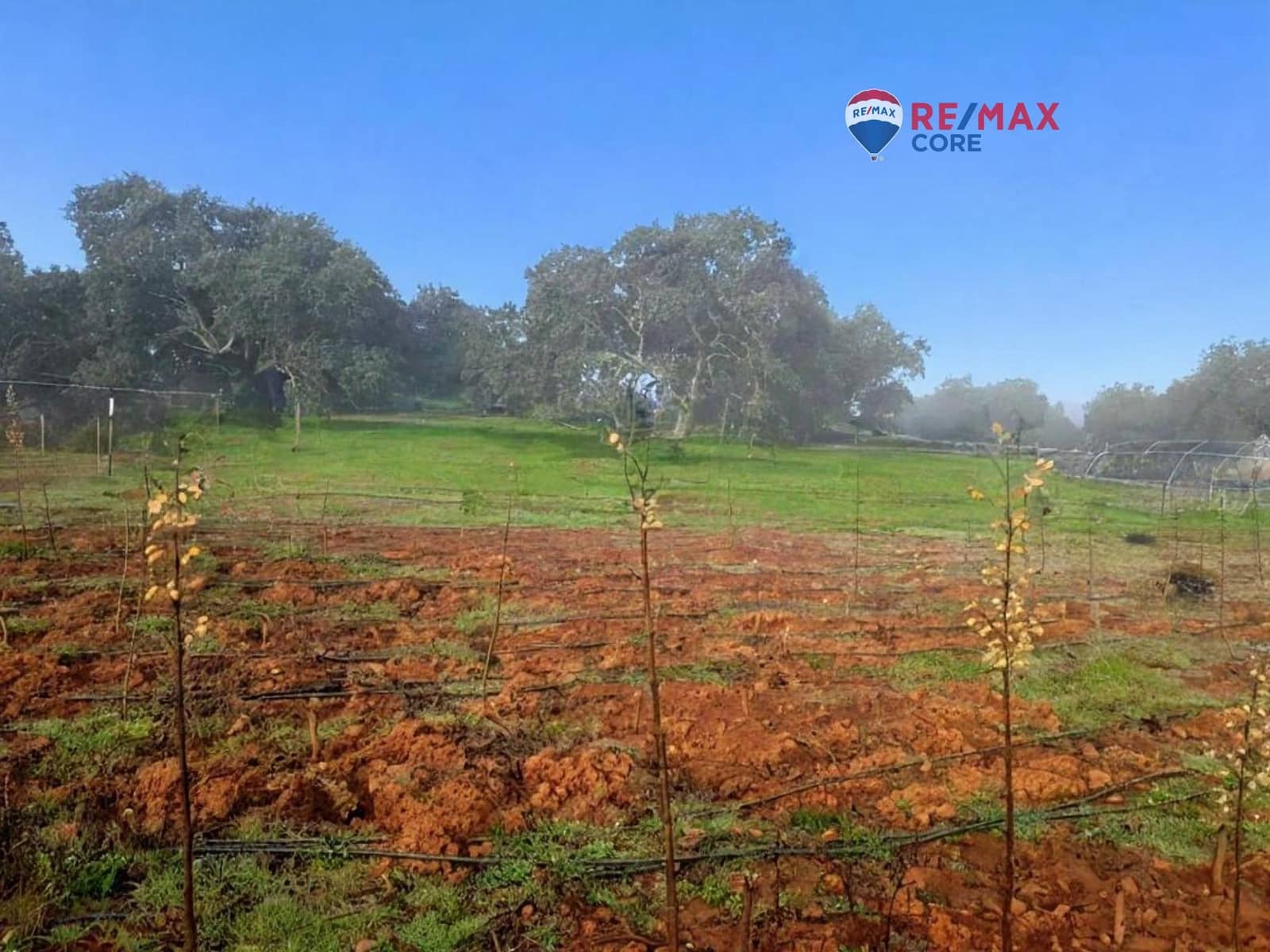 Grunde uden byggetilladelser til salg i Alburquerque - € 245.000 (Ref: 9194684)