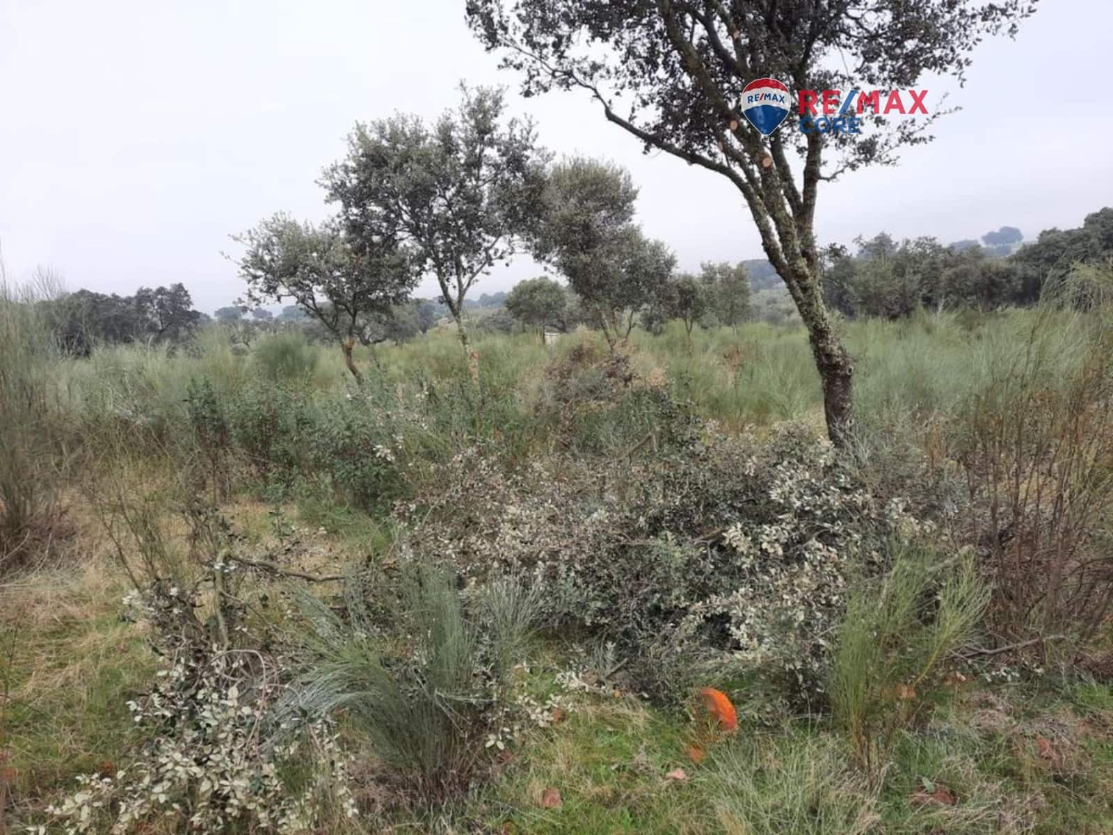 Grunde uden byggetilladelser til salg i Alburquerque - € 245.000 (Ref: 9194684)