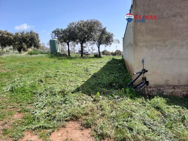 Undeveloped Land for sale in Alburquerque - € 265,000 (Ref: 9194684)