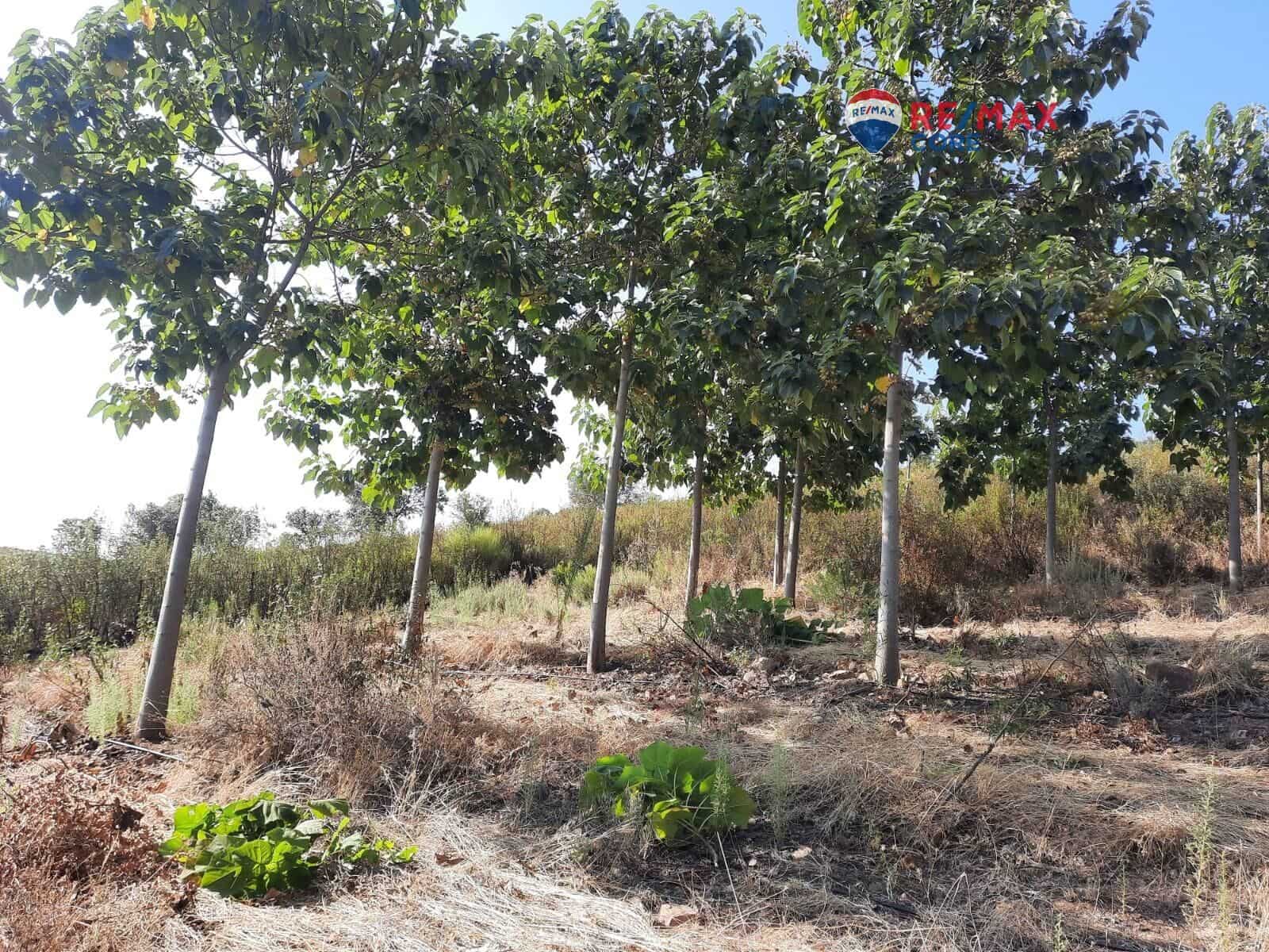 Grunde uden byggetilladelser til salg i Alburquerque - € 245.000 (Ref: 9194684)