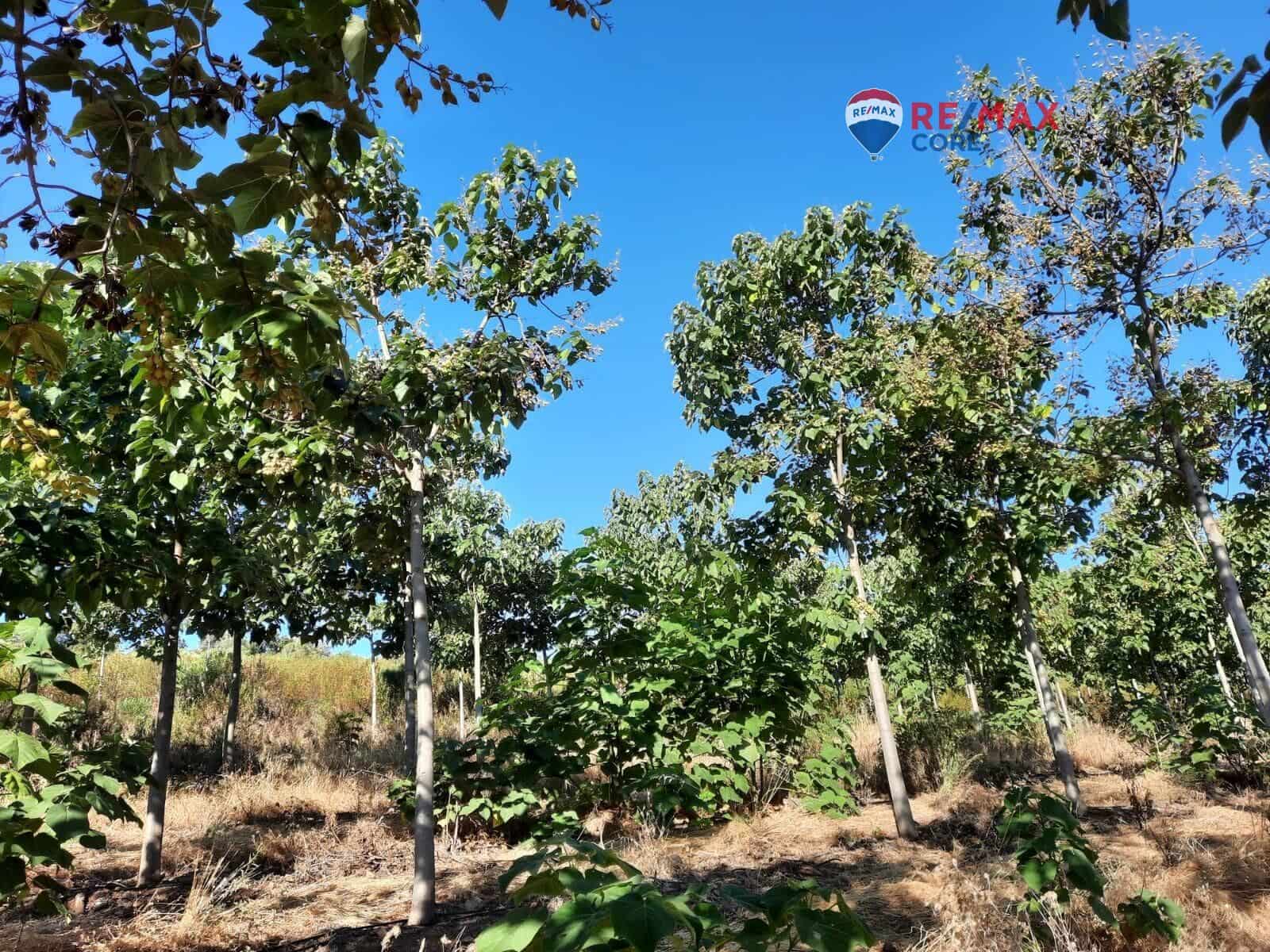 Grunde uden byggetilladelser til salg i Alburquerque - € 245.000 (Ref: 9194684)