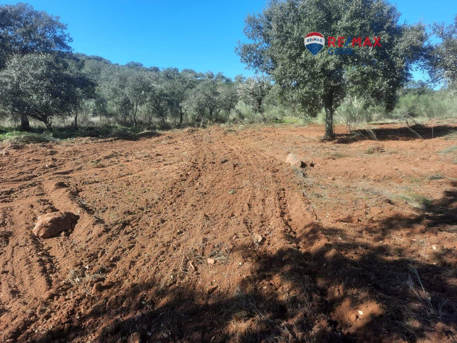 Grunde uden byggetilladelser til salg i Alburquerque - € 245.000 (Ref: 9194684)