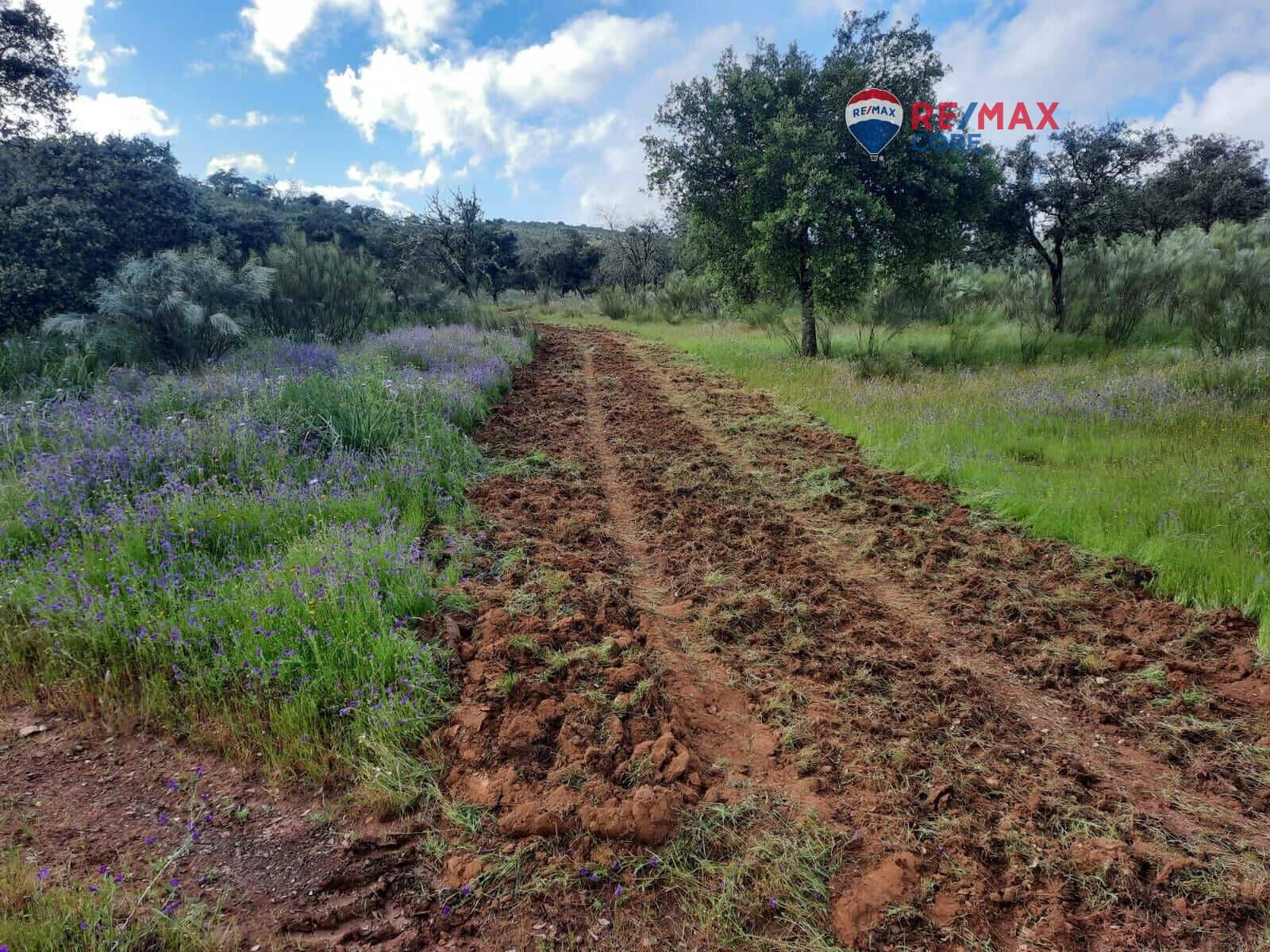 Grunde uden byggetilladelser til salg i Alburquerque - € 245.000 (Ref: 9194684)