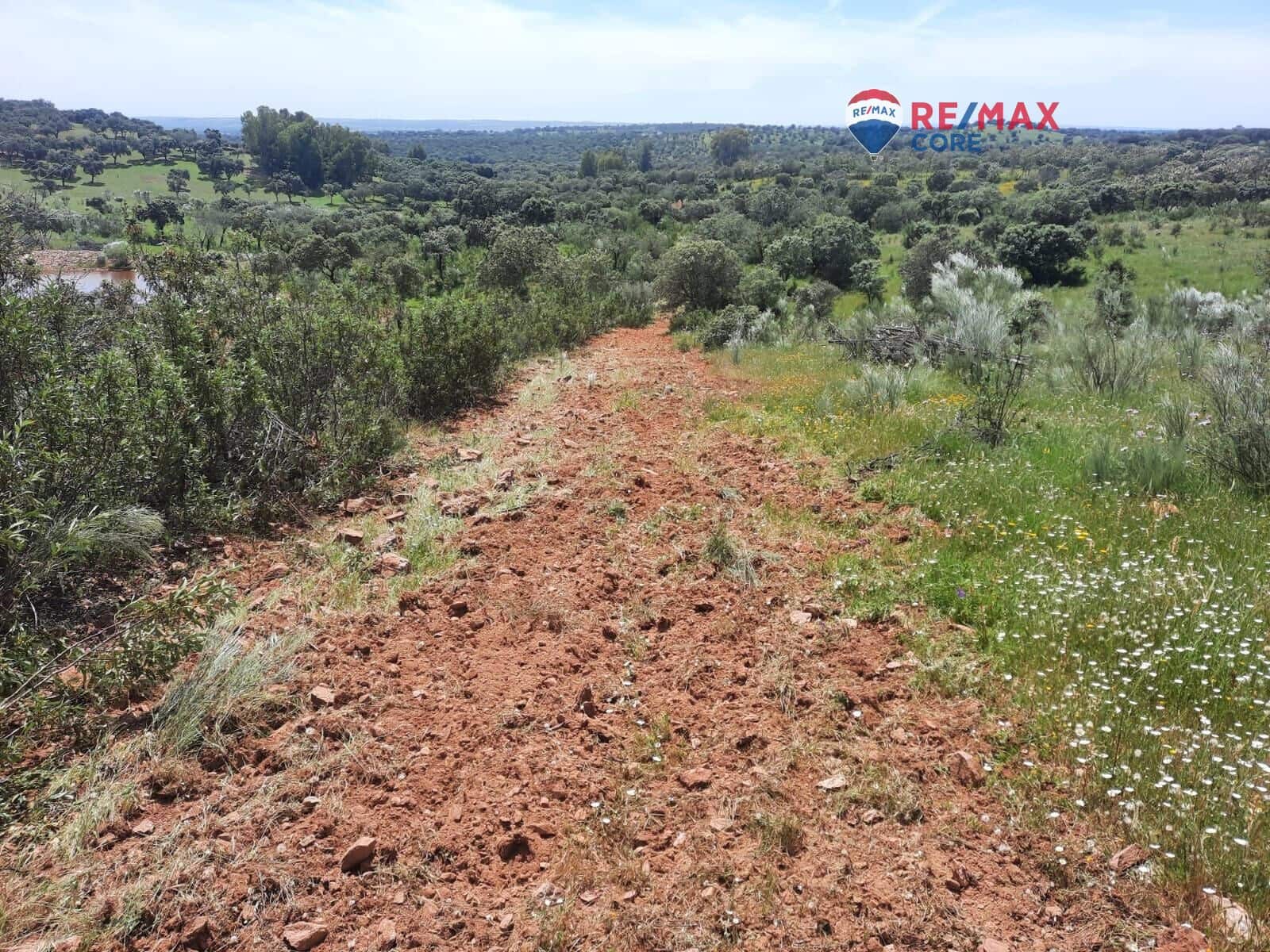 Grunde uden byggetilladelser til salg i Alburquerque - € 245.000 (Ref: 9194684)