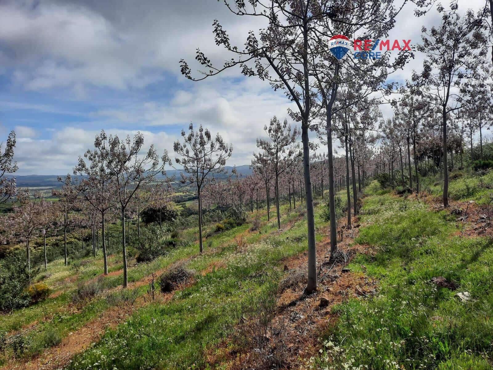 Grunde uden byggetilladelser til salg i Alburquerque - € 245.000 (Ref: 9194684)