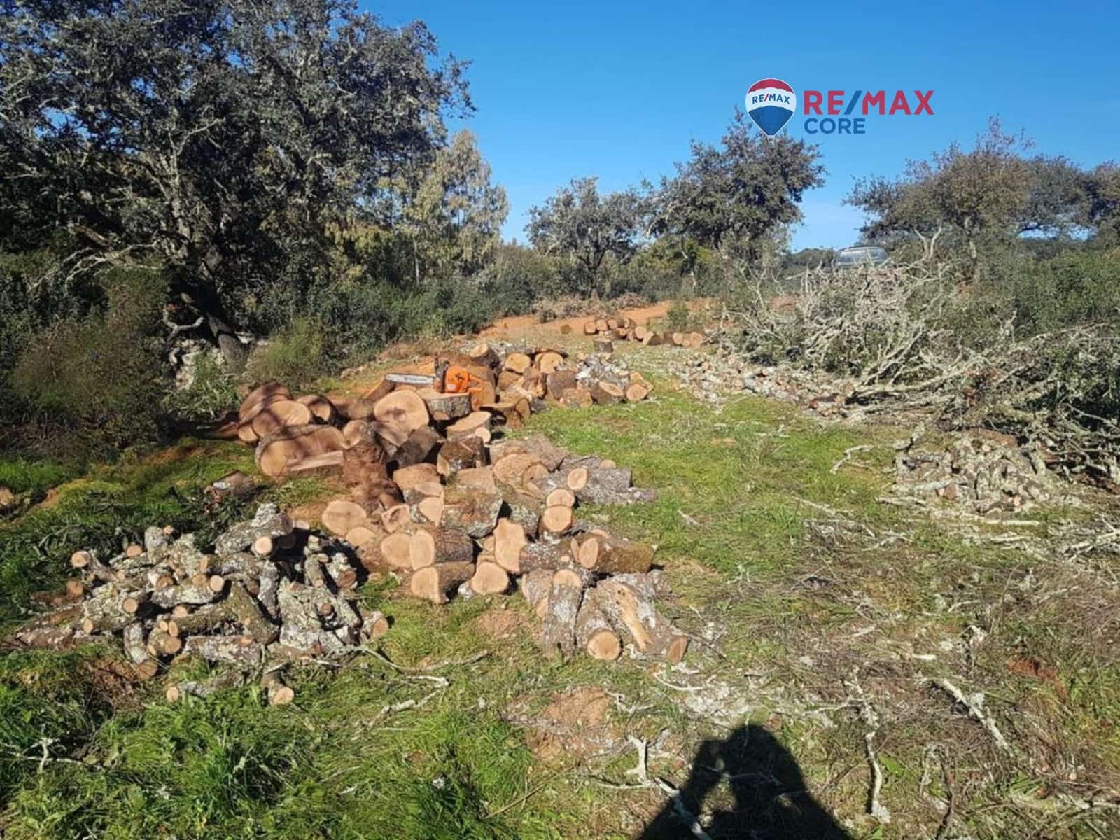 Grunde uden byggetilladelser til salg i Alburquerque - € 245.000 (Ref: 9194684)