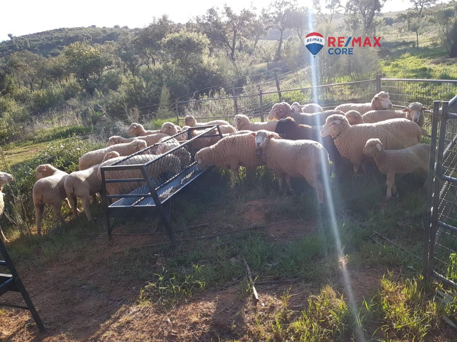 Grunde uden byggetilladelser til salg i Alburquerque - € 245.000 (Ref: 9194684)