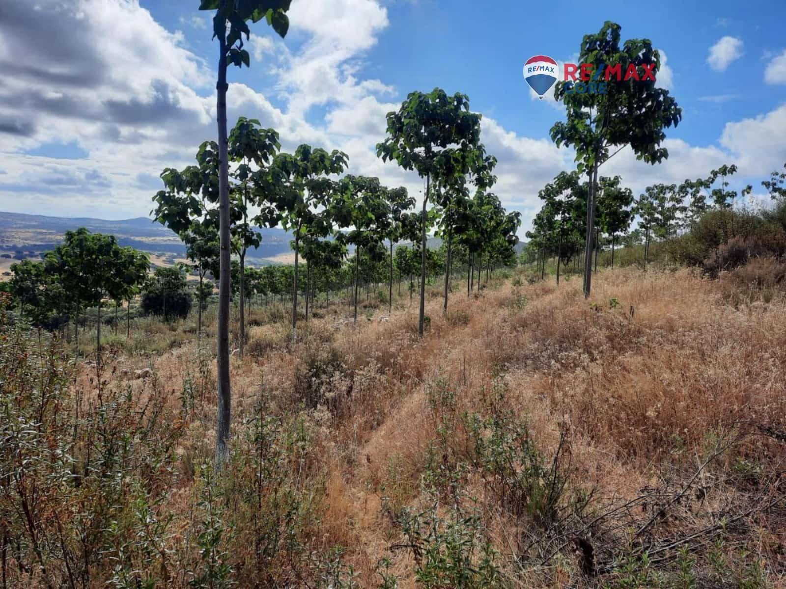 Grunde uden byggetilladelser til salg i Alburquerque - € 245.000 (Ref: 9194684)