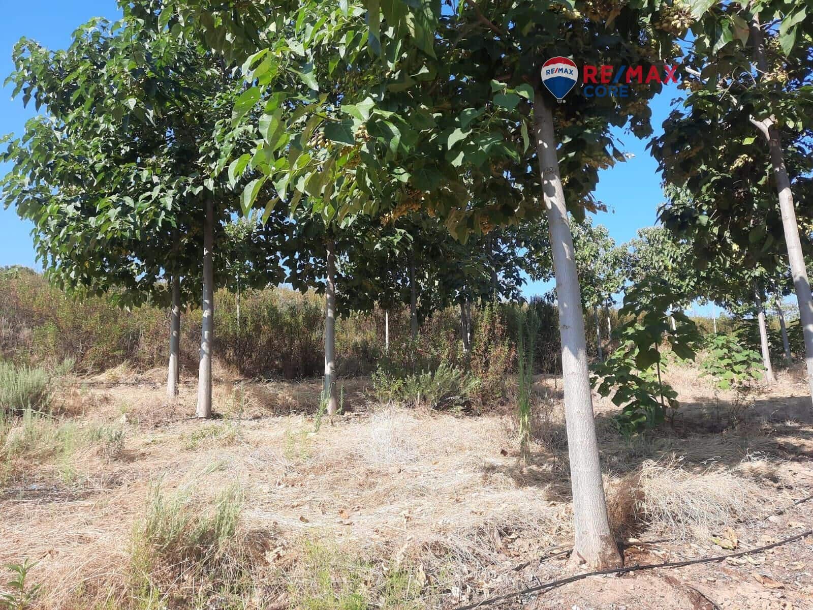 Grunde uden byggetilladelser til salg i Alburquerque - € 245.000 (Ref: 9194684)