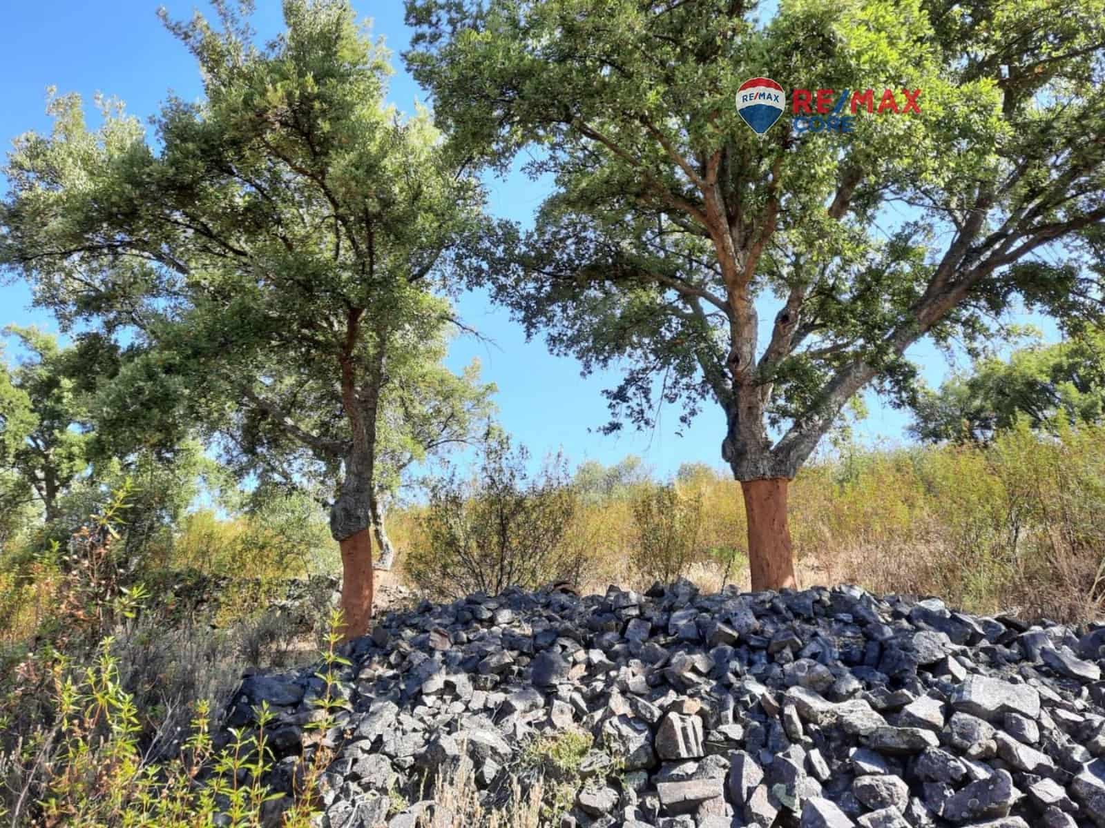 Grunde uden byggetilladelser til salg i Alburquerque - € 245.000 (Ref: 9194684)