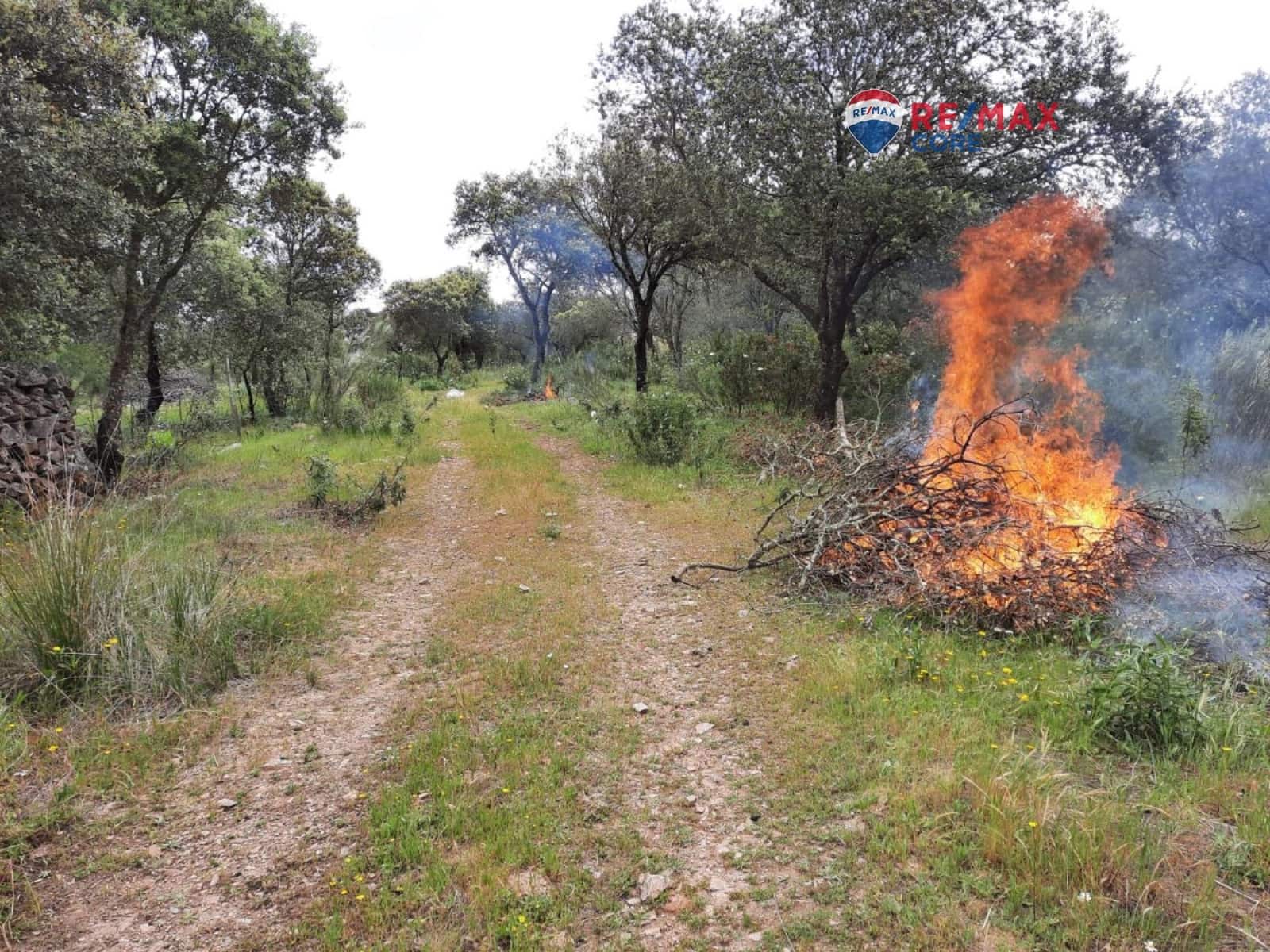 Grunde uden byggetilladelser til salg i Alburquerque - € 245.000 (Ref: 9194684)