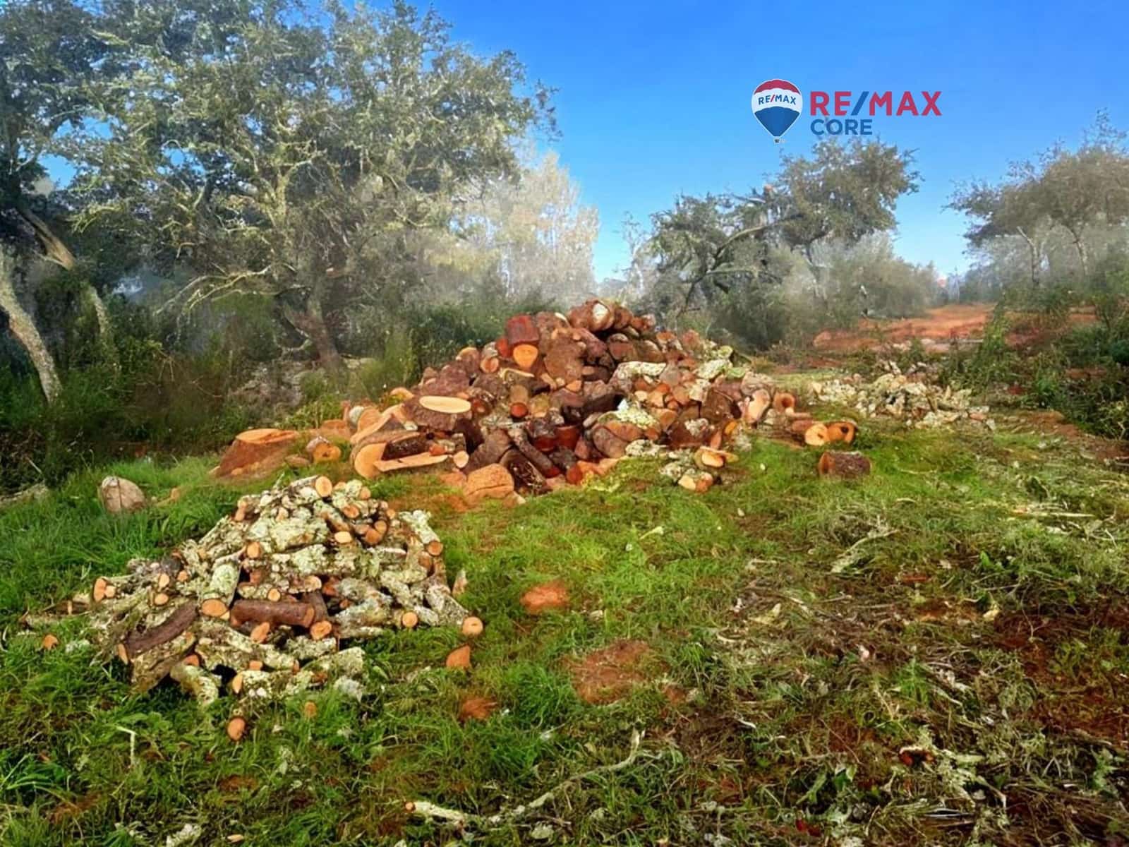 Grunde uden byggetilladelser til salg i Alburquerque - € 245.000 (Ref: 9194684)