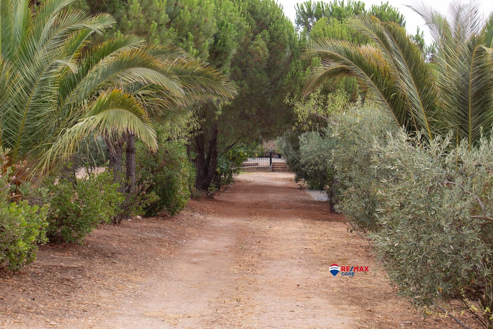 4 soveværelse Finca/Landehus til salg i Puebla de Obando med swimmingpool - € 295.000 (Ref: 9194687)