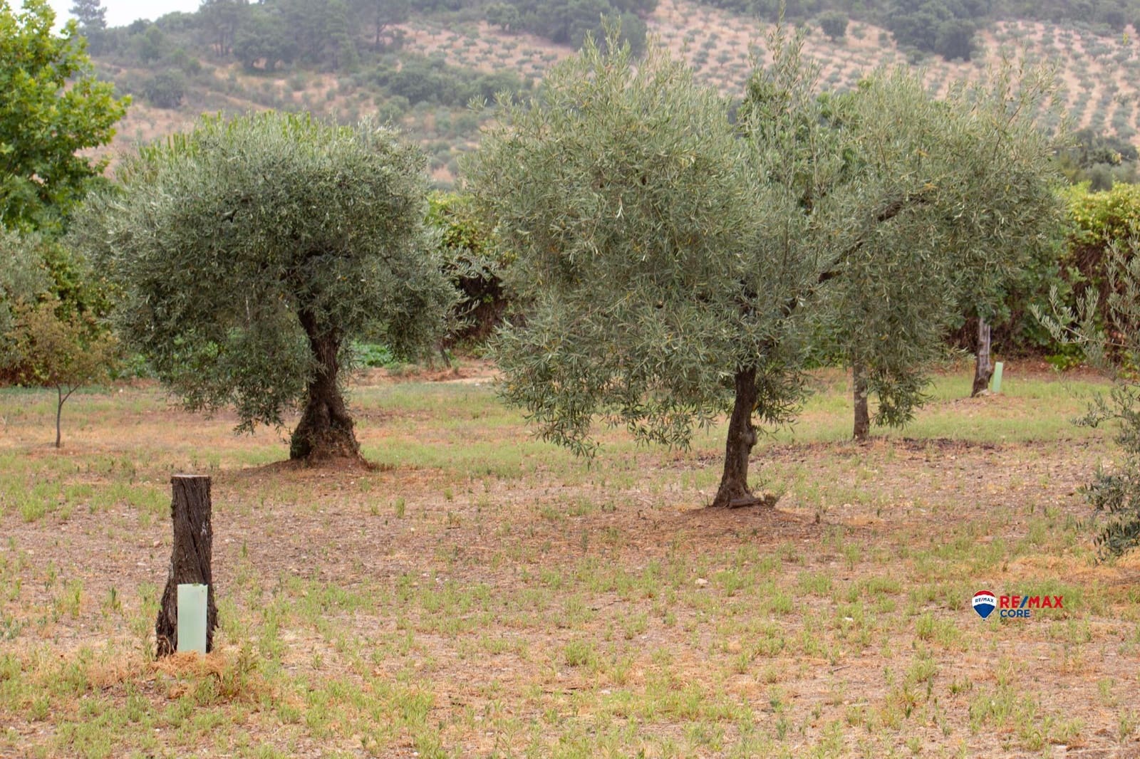 4 soveværelse Finca/Landehus til salg i Puebla de Obando med swimmingpool - € 295.000 (Ref: 9194687)