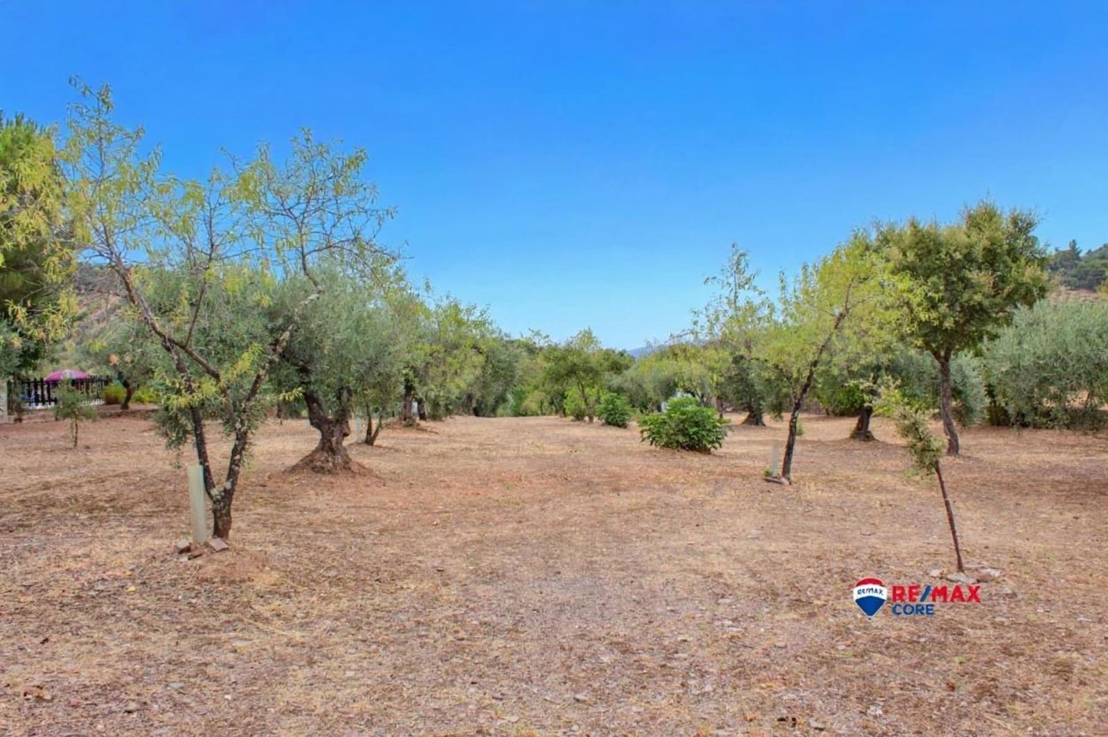 4 soveværelse Finca/Landehus til salg i Puebla de Obando med swimmingpool - € 295.000 (Ref: 9194687)