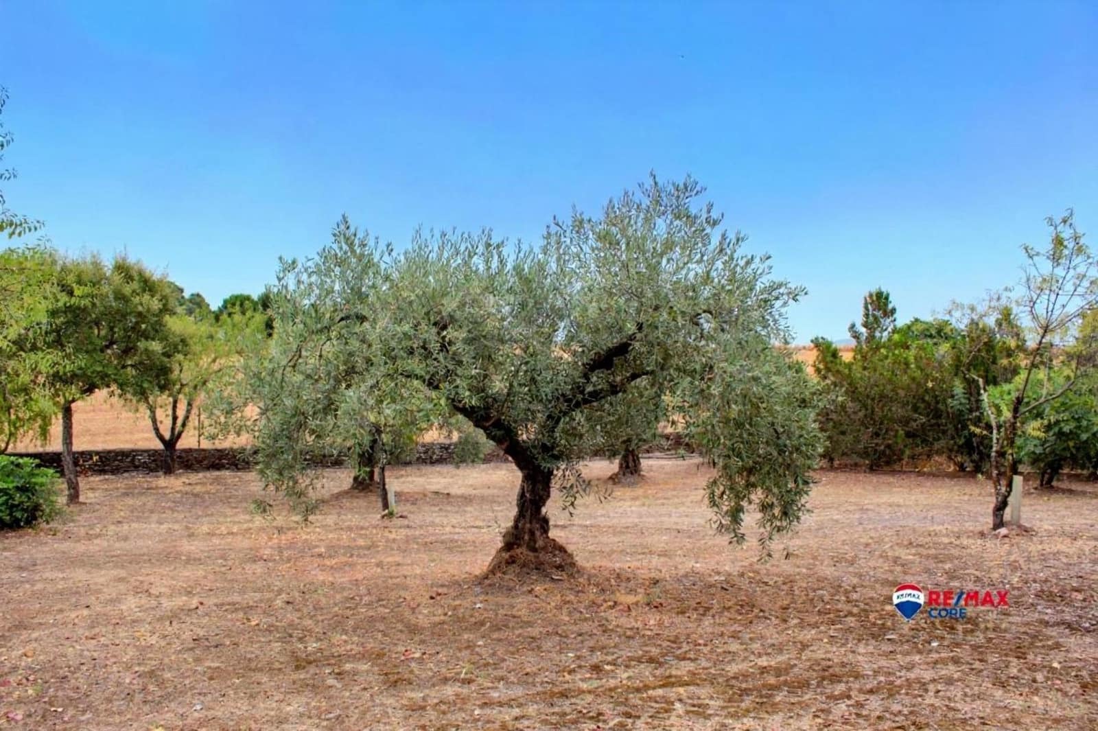 4 soveværelse Finca/Landehus til salg i Puebla de Obando med swimmingpool - € 295.000 (Ref: 9194687)