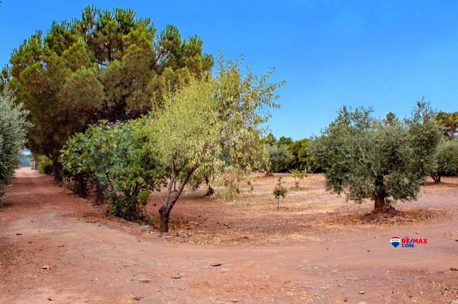 4 soveværelse Finca/Landehus til salg i Puebla de Obando med swimmingpool - € 295.000 (Ref: 9194687)