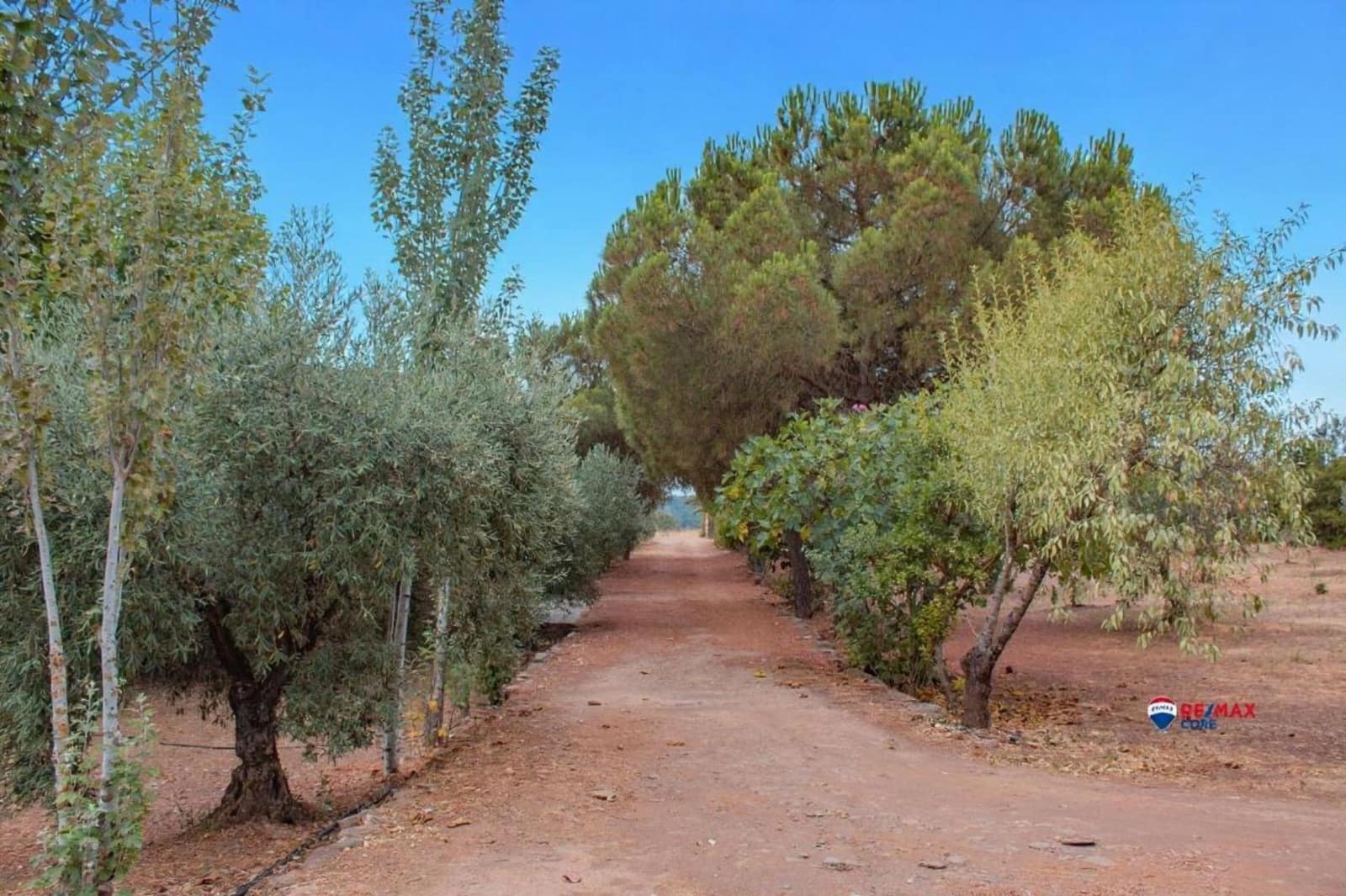 4 soveværelse Finca/Landehus til salg i Puebla de Obando med swimmingpool - € 295.000 (Ref: 9194687)