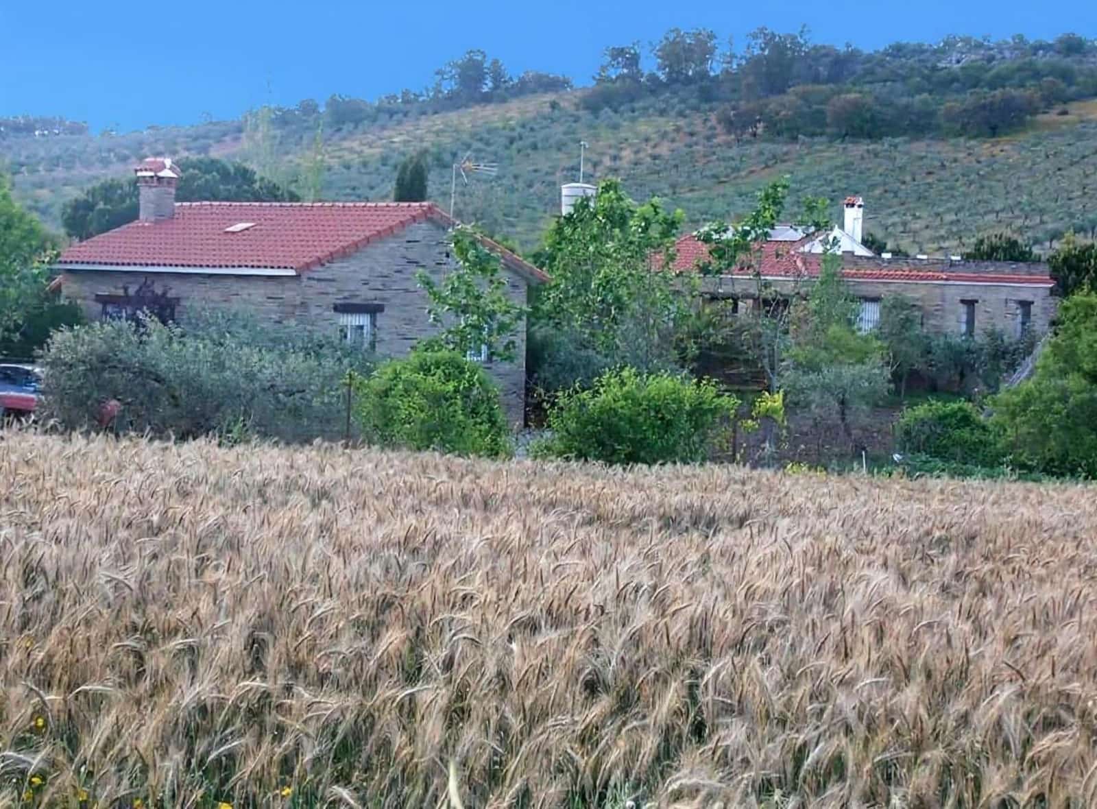 4 soveværelse Finca/Landehus til salg i Puebla de Obando med swimmingpool - € 295.000 (Ref: 9194687)