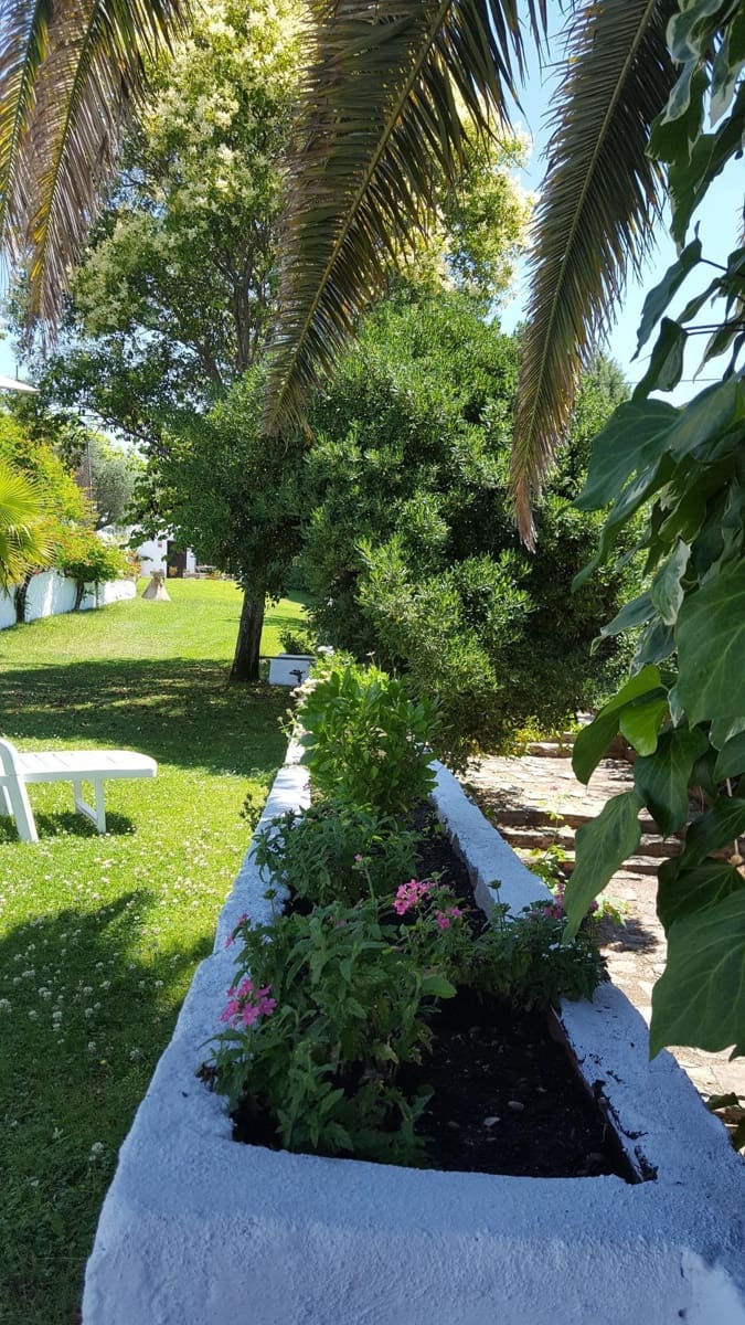 6 soveværelse Finca/Landehus til salg i Plasencia med swimmingpool garage - € 1.350.000 (Ref: 9194688)